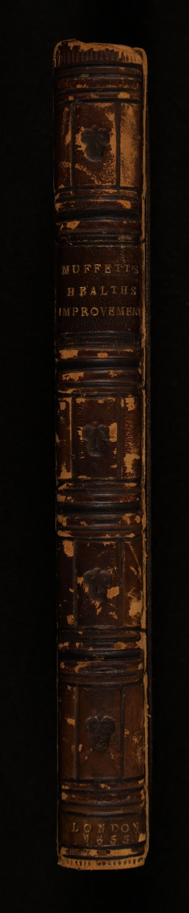 No text description is available for this image