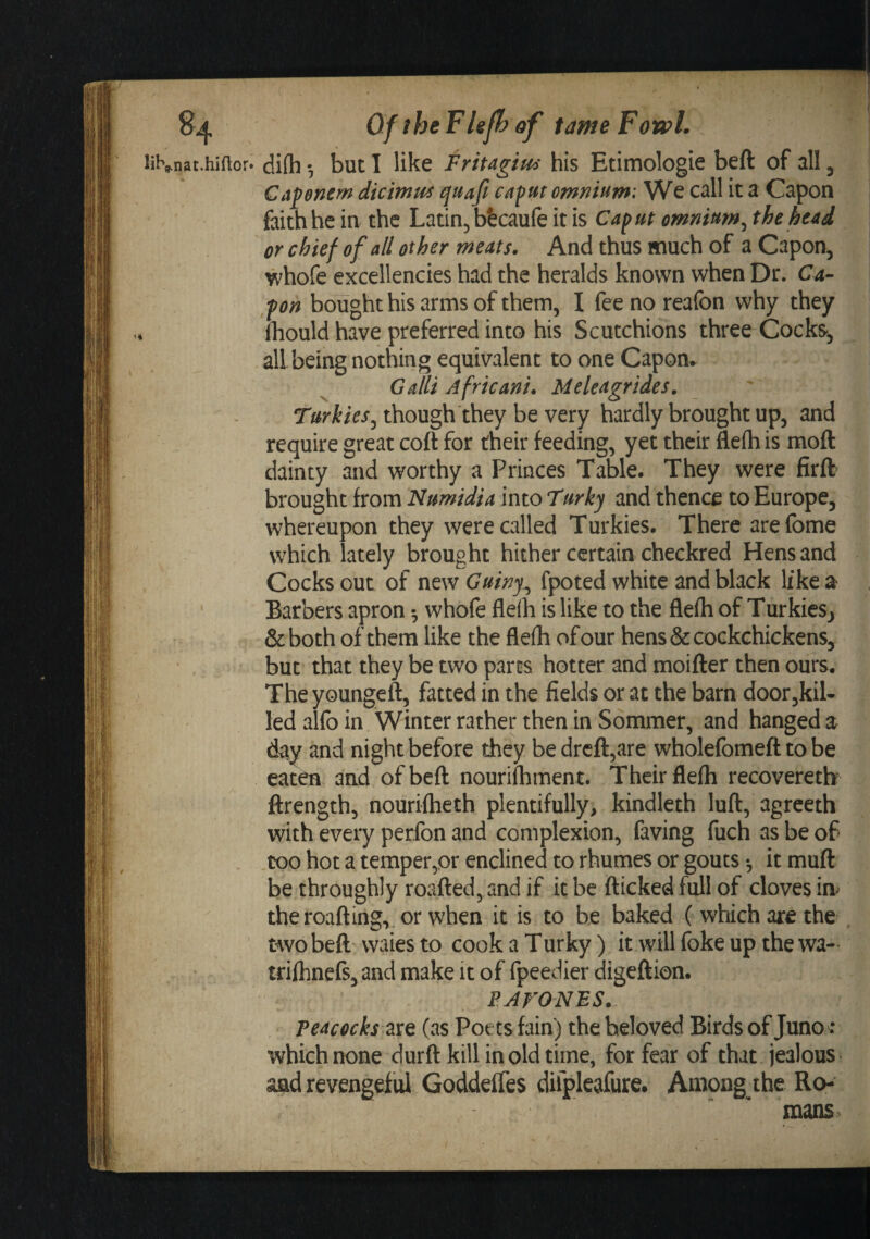 li^;^nat.hi^l:or. di(h •, but I like Frttagiu^ his Etimologie beft of all, Capenem dicimu^ quafi cafut omnium: We call it a Capon feith he in the Latin, bkaufe it is Caf ut omnium^ the head or chief of all other meats. And thus much of a Capon, whofe excellencies had the heralds known when Dr. Ca- pon bought his arms of them, I fee no reafon why they Ibould have preferred into his Scutchions three Cocks, all being nothing equivalent to one Capom Gain Africani. Meleagrides, though they be very hardly brought up, and require great coft for their feeding, yet their flelh is moft dainty and worthy a Princes Table. They were fir ft brought from Numidia into Turky and thence to Europe, whereupon they were called Turkies. There arefbme which lately brought hither certain checkred Hens and Cocks out of ntw Guiny^ fpoted white and black like a Barbers apron •, whofe flelh is like to the flefli of TurkieSj &amp; both of them like the flefh of our hens &amp; cockchickens, but that they be two parts hotter and moifter then ours. The youngeft, fatted in the fields or at the barn doorjkil- led alfo in Winter rather then in Sommer, and hanged a day and night before they be drcft,are wholefomeft to be eaten and of beft nourilhment. Their flefh recoveretb ftrength, nourifheth plentifully, kindleth luft, agreeth with every perfon and complexion, faving fuch as be of ,coo hot a temper,or enclined to rhumes or gouts •, it muft be throughly roafted, and if it be flicked full of cloves ia theroafting, or when it is to be baked ( which are the . two beft waies to cook a Turky) it will foke up the wa- trilhnefs, and make it of fpeedier digeftion. PAFONBS.- Peacocks zxe (as Poets fain) the beloved Birds of Juno: which none durft kill in old time, for fear of that jealous &gt; and revengeful Goddeffes diipleafure. Among the Ro¬ mans