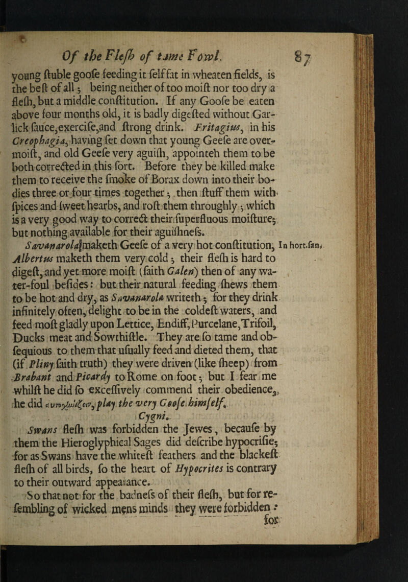 e Of theFleJh of tam^ForpL 87 young ftuble goofe feeding it felf fat in wheaten fields, is the be ft of all 5 being neither of too moift nor too dry a flefli, but a middle conftitution. If any Goofe be eaten above four months old, it is badly digefted without Gar- lick fauce,exercife,and ftrong drink. Fritagius^ in his Creofhagia^\min%^tt down that young Geefe are over- moift, and old Geefe very aguiih, appointeh them to be both cor reeled in this fort. Before they be killed make them to receive the fmolte of Borax down into their bo¬ dies three or four-times together-, then .fluff them witb&lt; fpices and fweet hearbs, and roft them throughly •, which is a very good way to corred theirifuperfluous moiflure^ but nothing available for their aguifhnefs. SAvanarola\r£izktt\\ Geefe of a very hot conflitution, inhorc.fan^ Albert us maketh them very cold ^ their flefh is hard to digefl,and y^t more moifl (faith Galen) then of any wa¬ ter-foul befiqes: but their natural feeding (hews them to be hot and dry, as S^vamroU writeth 5 for they drink, infinitely often, delight to be in the coldefl waters, and feed mofl gladly upon Lettice, Endiff, Purcclane,Trifoil, Ducks meat and Sowthiflle. They are fo tame and ob- fequious to them that ufually feed and dieted them, that (if faith truth) they were driven (like (heep) from- Brabant oxiA Picardy to Rome on foot •, but I fear me whilfl he did fb exceffively commend their obedience^, he did fU-f the very Cg^jeMmjelf, Cfgni.. Sfvans flefli was forbidden the Jewes , becaufe by them the Hieroglyphical Sages did defcribe hypocrifie? for as Swans have the whiteft feathers and the blackeft fleih of all birds, fo the heart of Hypocrites is contrary to their outward appearance. So that net for the badnefs of their flefli, but for rer fembling of wicked mens minds they were forbidden .• ^ ' ... foS'