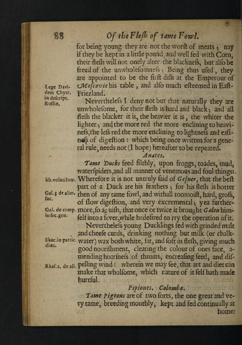 9 Lege Davi- dcm Chytr. in defcripc. RuiTia, lib.volatilum. Gal.} dcalim. fac. Gal. de comp, in fee. gen. Ifaac.in partic disc. Rhaf.2. deali Of thsFleJhof tav^e Fowl. for being young they are not the vvorft of meats* nay if they be kept in a little pounds and well fed with Corn, their flefli will not onely alter the blacknefs, but alfobe freed of the unwholefoinnefs Being thus ufed , they are appointed to be the firft difh at the Emperour of CHopoviehis table , and alfomuch efteemedinEaft- Friezland. Neverthelefs I deny not but that naturally they are unwholefome, for their fliefti is hard and black-, and all flefti the blacker it is, the heavier it is, the whiter the lighter and the more red the more enclining to heavi- nefSjthe lefs red the more enclining to lightnefs and cafi- nfiff of digeftion : which being once written for a gene¬ ral rule, needs not (I hope) hereafter to be repeated. Ablates. Tame tfuckskQd filthly, upon froggs, toades, mud, waterfpiders^and all manner of venemous and foul things:. Wherefore it is not untruly faid of Gejner^ that the beft part of 2l Duck are his feathers for his fleih is hotter then of any tame fowl, and withall toomoift, hard, groft, of flow digeftion, and very excrementalyea further¬ more,fo aguifti, that once or twice it brought Galen him- felfinto a fever,while hedefired to fry the operation of it. Neverthelefs young Ducklings fed with grinded malt and cheefe curds, drinking nothing but milk (or chalk- water) wax both white, fat, and foft in flefli, giving much good nourifliment, clearing the colour of ones face, a- mending hoarfnefs of throats, encreafing feed, and dif- pelling wind: wherein we may fee, that art and diet can make that wholfome, which nature of it felf hath made hurtful. Pipiones. Colttmhd. Tme Pigeons are of two forts, the one great and ve¬ ry tame, breeding monthly, kept and fed continually at home: