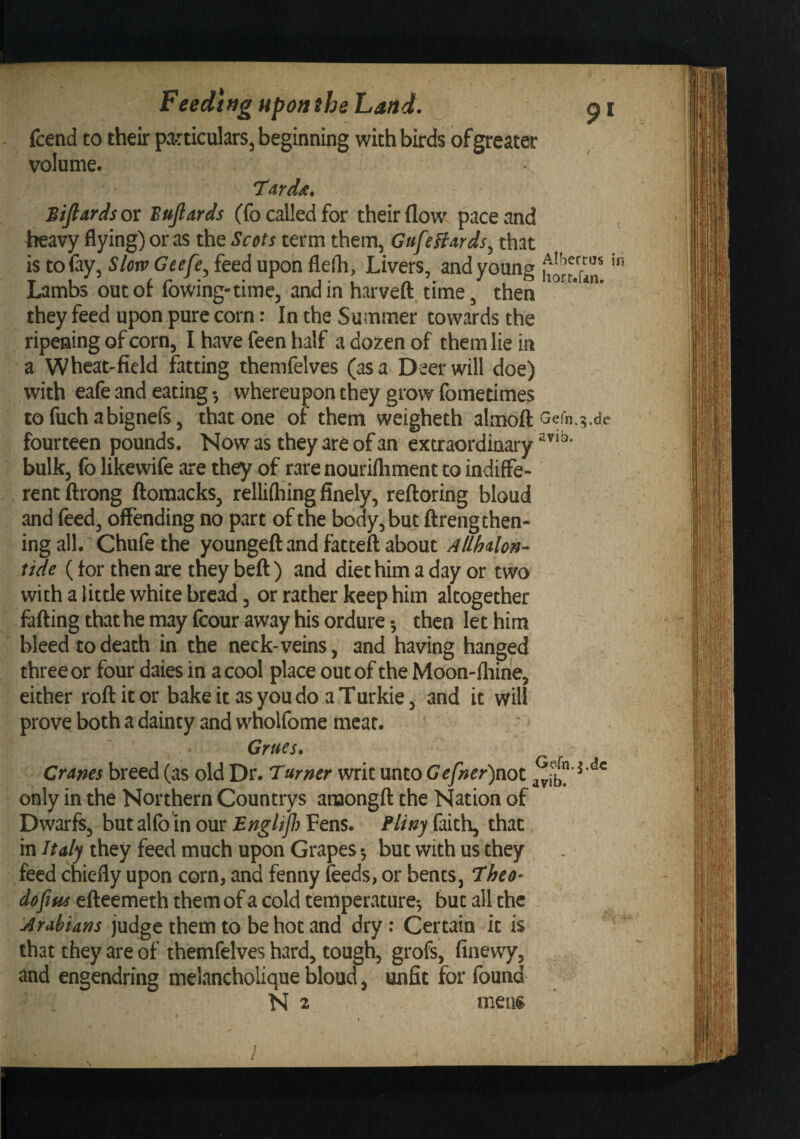 fcend to their pa-rticulars, beginning with birds ofgreater volume. Turdx, Sijlards or Bujlards (fo called for their flow pace and heavy flying) or as the Setts term them, Gufeffards, that is to (ay, Sktv Geefe, feed upon flelh, Livers, and young Lambs out of flowing-time, and in harveft time, then they feed upon pure corn: In the Summer towards the ripening of corn, I have fleen half a dozen of them lie in a Wheat-field fatting themfelves (as a Deer will doe) with eale and eating •, whereupon they grow fometimes tofuchabignefls, that one of them weigheth almoft Geln.g.tie fourteen pounds. Now as they are of an extraordinary bulk, fo likewife are they of rare nourifliment to indiffe¬ rent ftrong ftomacks, rellifliing finely, reftoring bloud and feed, offending no part of the body, but ftrengthen- ingall. Chufethe youngeft and fatteft about Allhdlon- tide (tor then are they bell) and diet him a day or two with a little white bread, or rather keep him altogether falling that he may fcour away his ordure •, then let him bleed to death in the neck-veins, and having hanged three or four daies in a cool place out of the Moon-lhine, either roll it or bake it as you do a Turkic, and it will prove both a dainty and wholfome meat. Grues. Turner only in the Northern Countrys anaongll the Nation of Dwarfs, butalfo in our Bnglijh Fens. FUny faith, that in Italy they feed much upon Grapes 5 but with us they feed chiefly upon corn, and fenny feeds, or bents, Theo- dofius elleemeth them of a cold temperature*, but all the Arabians judge them to be hot and dry : Certain it is that they are of themfelves hard, tough, grofs, finewy, and engendring melancholique bloud, unfit for found N 2 mens
