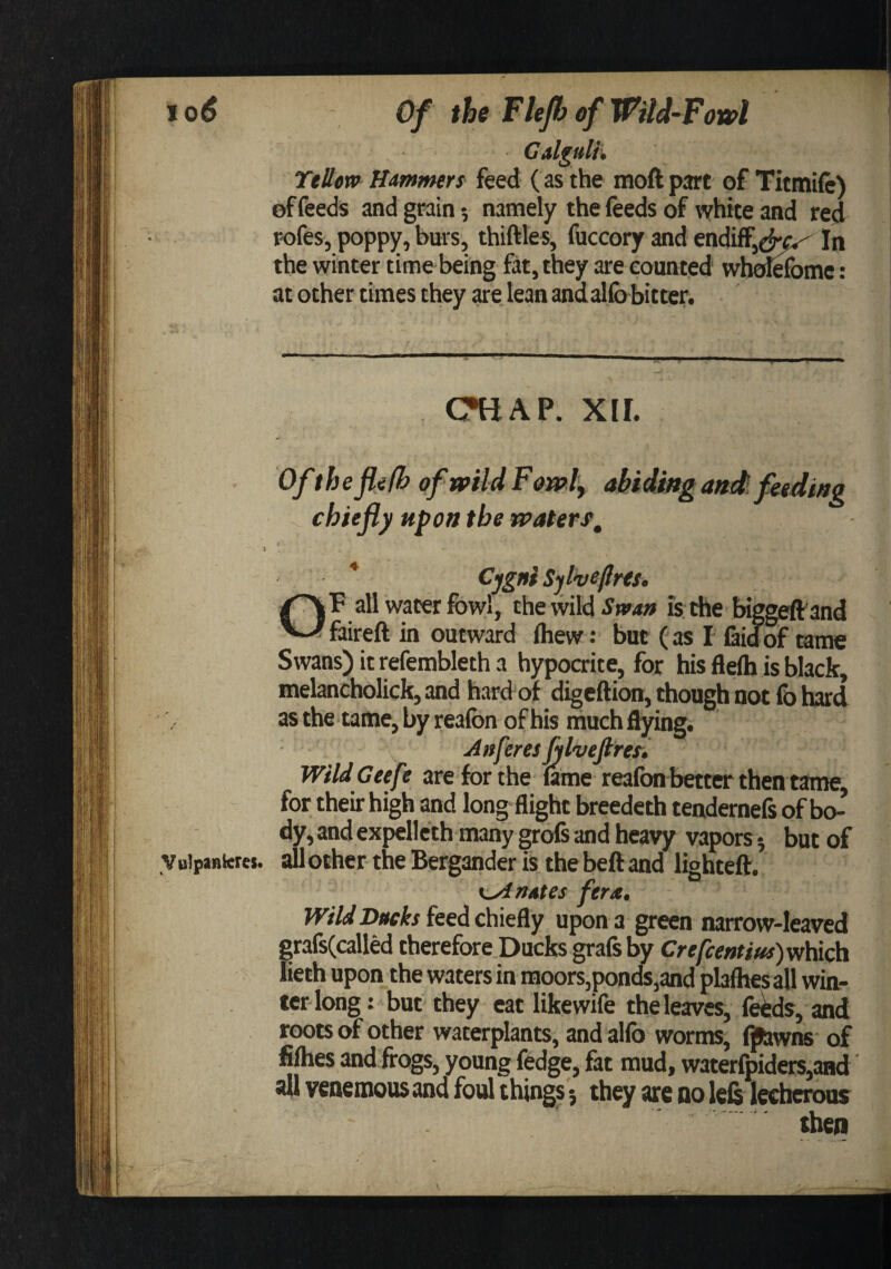 TtHm Hmmers feed ( as the moft part of Titmife) of feeds and grain 5 namely the feeds of white and red r-ofes, poppy, burs, thiftles, fuccory and endiff,e^;^ In the winter time being fat, they are counted wbol«ome: at other times they are lean andallb bitter. C?HAP. XII. Ofthe jlefh of wild Fowl'y abiding anebfetdiag chiefly upon the waters, * Sjlveflrest OP all water fowl, the wild is the biggeftand faireft in outward (hew: but ( as I- fiid^of tame Swans) it refembleth a hypocrite, for his flelh is black, melancholick,and hard of digeftion, though not fo hard as the tame, by reafon of his much flying. Wtld Geefe are for the lame reafon better then tame, for their high and long flight breedeth tendernels of bo¬ dy, and expellcth many grofe and heavy vapors*, but of . all other the Bergander is the beft and lighteft. K^rtAtes ferx. Wild Ducks feed chiefly upon a green narrow-leaved firafs(called therefore Ducks graft by Crefcentius)v{\&Oi lieth upon the waters in moors,ponds,and plaflies all win¬ ter long : but they eat likewife the leaves, ^ds, and roots of other waterplants, andalfo worms, f^wns of filhes and frogs, young fedge, fat mud, waterfpiders,and' all venemous and foul things 5 they are no left lecherous then