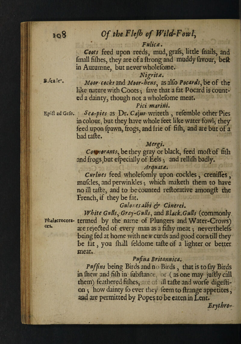 i=q8 Of the Flep of WiId~Fovply Fulicx. Coits feed upon reeds, mud,grafs, litde fnails, and fmallfilhes, they areofaftrong and muddy favour, beft in Auxumne,, but never wholefome. Nigrit£. »Jcak% ccckf and Meor-hens^ as alfo PccArds^ be of the like nature with Coots •, fave that a fat Pocard is count¬ ed a dainty^ though not a wholefome meat. ? id m AT ini. Epifl ad Gefn.. Scdrpes as Di*. writeth 5 refemble other Pies in colour, but they have whole feet like water fowl-, thejr feed upon fpawnj frogs, and frie of fifti, and are but of a badtafte, Mergi. Coi^n&rants.^ be tliey gray or black, feed moft of fiih and frogs,but efpecially of Eels and rellifti badly. Arquatdi Curlhes feed wholefomly upon cockles, creniflcs, mufcles, and perwinkles ^ which maketh them to have no ill tafte, and to be counted reftorative amongft the French, if they be fat. Gulonesdlbi ^ Cinerei. white Gulis^ Gray-GuHs^ and BlacLGnUs (commonly. p^alac^oco^a. termed by the name of Plungers and Water-Crows) are rejefted of every man as a fifliy meat ^ neverthelefs being fed at home with new curds and good corntill they be fat, you fliall feldome tafte of a lighter or better, meat.., Pftfim BriunnicAi Fffffns being Birds and no Birds, that is to fay Birds m {hew and fi(h in fubftance, ^)r (as one may juftly call them) feathered filbes, - e of ill tafte and worfe digefti- on how dainty fo ever they feem to ftrange appetites, aftd are permitted by Popes to be catem in Lent. £rjthror-
