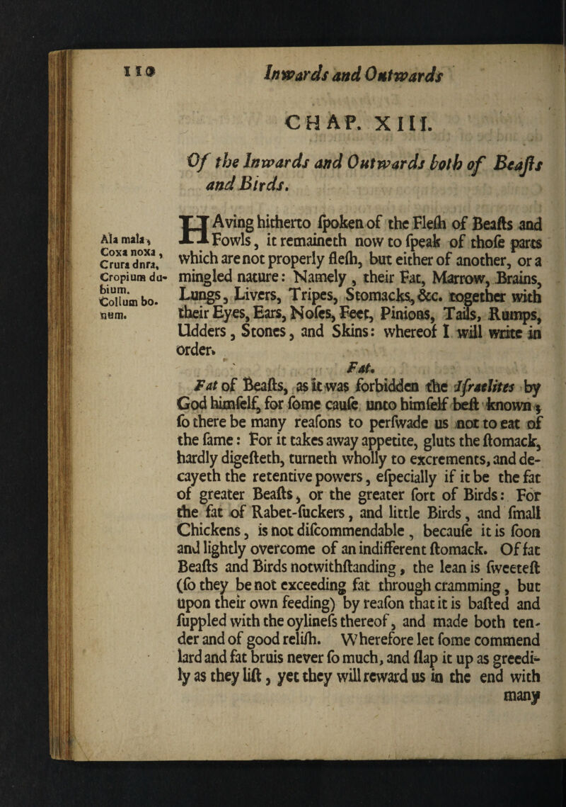 119 Inwards and Outwards ! AU mala^ Coxa noxa, Crura dnra, Cropium du* bium. Collucn bo* tium. CHAP. xin. . t Of the Inwards and Outwards hath of Bedjis and Birds. H Aving hitherto {j)oken of thc Flefli of Beads and Fowls, it remaineth now to fpeak of thofe parts which are not properly flefli, but either of another, ora mingled nature: Namely, their Fat, Marrow, Brains, Lupgs, Livers, Tripes, Stomacks,&c. Eogetbo: with their Eyes, Eaa, Nofes, Fwt, PinioES, Taas, Bumps, Udders, Stones, and Skins: whereof I will wdce in order. ^ Fatoi Beads, ask was forbi(ilen i!he ifrstUm by Cod hkofel^ for fome caufe unto him^i^'known fo there be many reafons to perlwadc us not to eat of the fame: For it takes away appetite, gluts the ftomack, hardly digefteth, turneth wholly to excrements, and de- cayeth the retentive powers, elpecially if it be the fat of greater Beads, or the greater fort of Birds: For the fat -of Rabet-dickers, and little Birds, and fmall Chickens, is not difoommendable, becaufo it is foon and lightly overcome of an indifferent domack. Of fat Beads and Birds notwithdanding, the lean is fiveeted (fo they be not exceeding fat through cramming, but Upon their own feeding) by reafon that it is baded and fuppled with the oylinefs thereof, and made both ten¬ der and of good rclidi. Wherefore let fome commend lard and fat bruis never fo much, and dap it up as greedi¬ ly as they lift, yet they will reward us in the end with many
