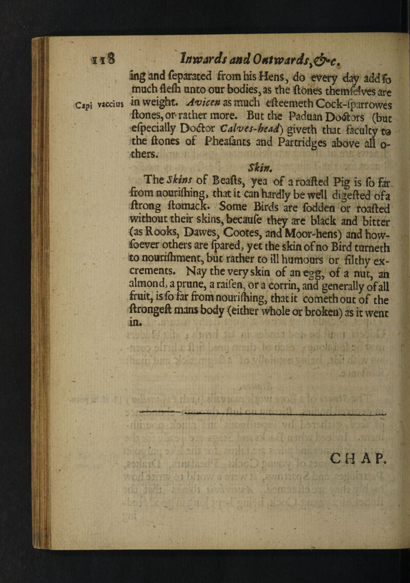 Inwards and On1wards^(^e ing and feparated from his Hens, do every addfo much fleih unto our bodies, as the ftoiies themfeives are Cipi yacciiis iu weight. Aviccn as mudh efteemeth Cock-(parrowes ftones, or-rather more. But the Paduan Doctors (but . efpecially Dodtor gtveth that faculty to tbs ftones of Pbeal^ts and Partridges above all o- thers. i:hs Skins of Beafts, yea of aroafted Pig is fofar from noutifhing, that it Can hardly be well digefted ofa Arong ftomack. Some Birds are fodden or roafted without thek skins, becaufe they »e black and bitter (as Rooks, Dawes, Cootes, and Moor-hens) and howr foever others are fpared, yet the skin of no Bird turaeth a to nourifliment, but rather to ill humours or filthy ex- '« crements. Nay the very skin of an egg, of a nut, an almond, a prune, a raifen, or a corfin, and generally of all fruit, is fofar from nouriihing, that it comechoutof the ftrongeft mans body (either tkiole or broken) as it went \