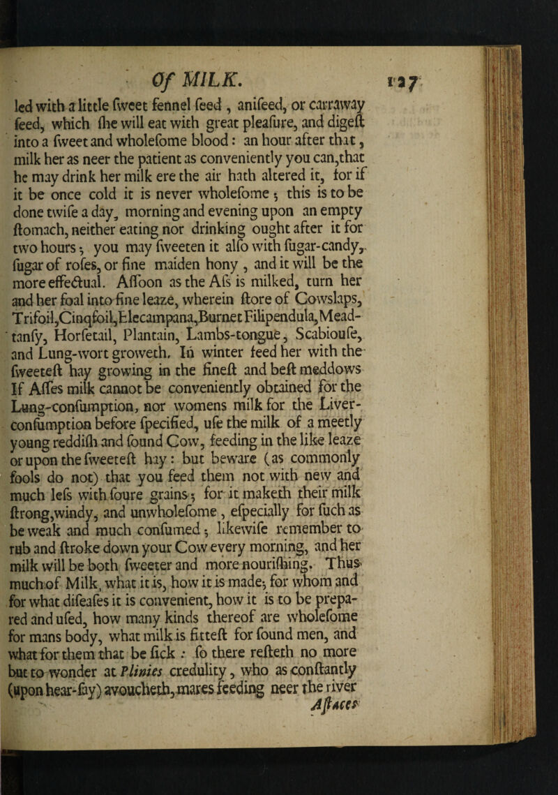 led with a little fweet fennel feed , anifeed, or carraway feed, which flie will eat with great pleafure, and digeft into a fweet and wholefome blood: an hour after that, milk her as neer the patient as conveniently you can,that he may drink her milk ere the air hath altered it, tor if it be once cold it is never wholefome *, this is to be done twife a day, morning and evening upon an empty ftomach, neither eating nor drinking ought after it for two hours *, you may fweeten it alfo with fugar-candy,, fug^ of rofes, or fine maiden hony , and it will be the moreeffedual. Aflbon astheAfsis milked, turn her and her foal into fine leaze, wherein (lore of Cowslaps, TrifQil,Cinqfoil,Elccampana,BurnetFilipendula,Mead- tanfy, Horfetail, Plantain, Lambs-tongue, Scabioufe, and Lung-wort groweth. In winter feed her with the- fweeteft hay growing in the finell and beft meddows If Affes milk cannot be conveniently obtained for the Lung-confumption, nor womens milk for the Liver- confiimptioa before fpecified, ufe the milk of a meetly young reddifli and (bund Cow, feeding in the like leaze or upon the fweeteft hay: but beware (as commonly fools do not) that you feed them not with new and much lefs withfoure grains-, for itmakeHi their milk ftrong,windy, and unwholefome , efpeclally for fuch as* be weak and much confumed •, likewife remember to^ rub and ftroke down your Cow every morning, and her milk will be both fweeter and more nouriflaing. Thus* muchiof Milk, what itis, how itis made-, for whom and for what difeafes it is convenient, how it is to be prepa¬ red and ufed, how many kinds thereof are wholefome for mans body, what milk is fitteft for found men, and what for them that be fick : fo there reftexh no more hut to-wonder at Plmits credulity, who as cbnftahtly (upon he^-fay) avouclietb^mares feeding neer the river