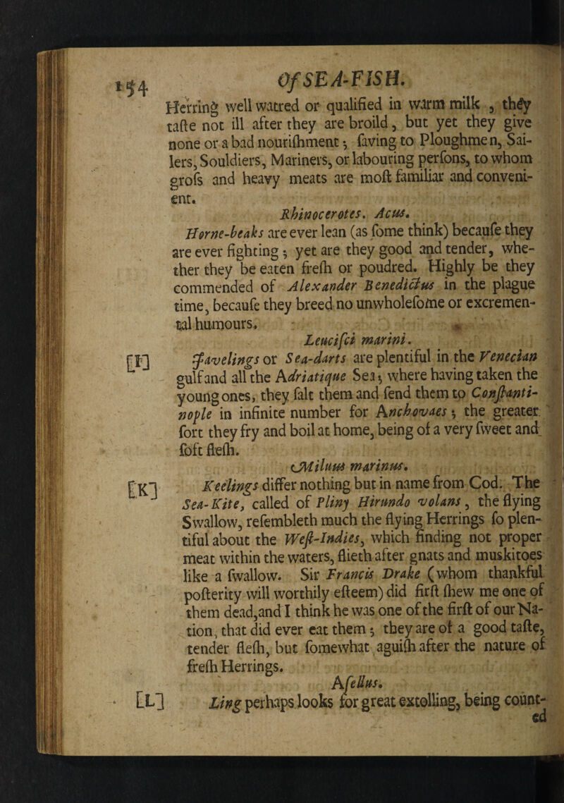 ofsEA^fisn. Herring well warred or qualified in warm milk , th^y tafte not ill after they arebroild, but yet they give none or a bad nourilbtnent •, faving to Ploughme n, Sai¬ lers, Souldiers, Mariners, or labouring perfons, to whom grofs and heavy meats are moft familiar and conveni¬ ent. Rhinocerotes, Acm. Herne-beaks are ever lean (as fome think) becaufe they are ever fighting 5 yet are they good and tender, whe¬ ther they be eaten freih or poudred. Highly be they commended of Alexander Renedicius in the plague time, becaufe they breed no unwholefoftie or cxcremen- tal humours. ' . Leucifci marini. ^AvelingsQt Sea-darts are plentiful in the gulf and all the kdriatique Sea 5 where having taken the young ones, they fait them and fend them to Cenjhnti- nople in infinite number for Anchevaes •, the greater fort they fry and boil at home, being of a very fvveet and: foft flelh. marinm. differ nothing but in name from Cod. The Sea- Kite, called of fUnj Hirmdo volans, the flying Swallow, refembleth much the flying Herrings fo plen¬ tiful about the Wefi-Indies, which finding not proper meat within the waters, flieth after gnats and muskitoes like a fwallovv. Sir Francis Drake (whom thankful pofterity will worthily efteem) did firft fhew me one of them dead,and I think he was one of the firft of our Na¬ tion, that did ever eat them •, they are of a good tafte, tender flefh, but fomewhat aguifti after the nature of frefh Herrings. Kfedtts. Ling perhaps looks for great extolling, being count¬ ed