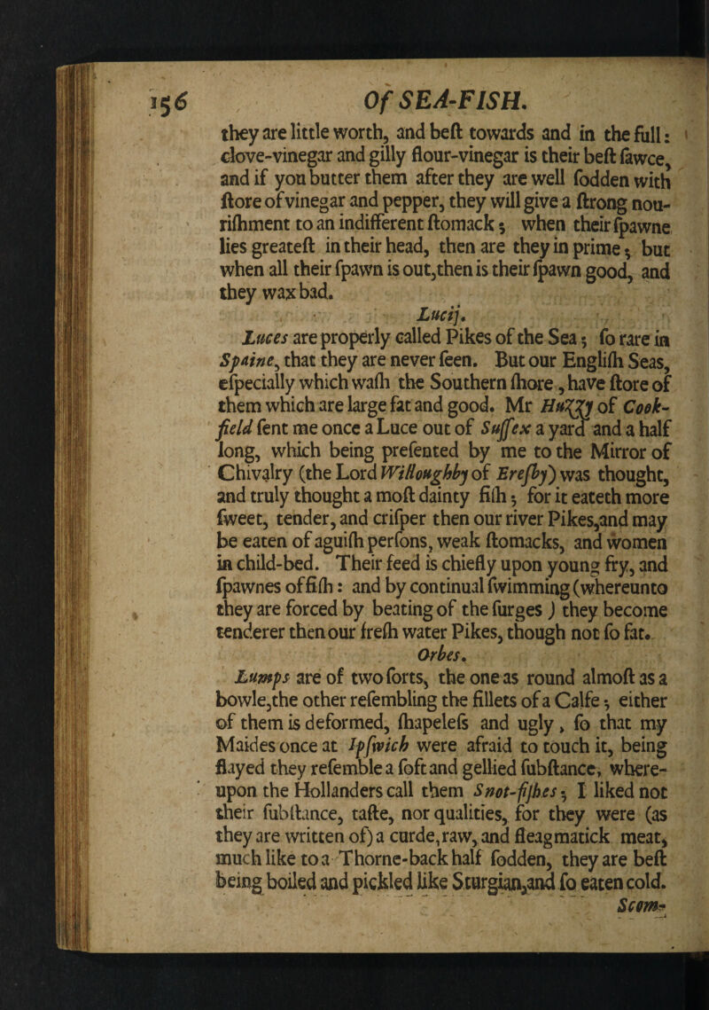 they are little worth, and beft towards and in the full: &gt; clove-vinegar and gilly flour-vinegar is their beft iitwce, and if you butter them after they are well fbddenwith ftore of vinegar and pepper, they will give a ftrong nou- riihment to an indifferent ftomack 5 when their fpawne, lies greateft in their head, then are they in prime 5 but when all their fpawn is out, then is their Ipawn good, and they wax bad. Lucij. Luces are properly called Pikes of the Sea 5 fo rare in Spaine^ that they are never feen. But our Englifti Seas, efpecially which wadi the Southern ihttfe, have ftore of them which are large fat and good. Mr Ceek- field fent me once a Luce out of Suff;x a yard and a half long, which being prefented by me to the Mirror of Chivalry {thehordWiHoughhjoiSrejhy^wss thought, and truly thought a moft dainty filh; for it eateth more fweet, tender, and crifper then our river Pikes,and may be eaten of aguiih perfons, weak ftomacks, and women in child-bed. Their feed is chiefly upon young fry, and fpawnes of fiih: and by continual fwimming (whereunto they are forced by beating of thefurges ) they become tenderer then our freih water Pikes, though not fo fat. Orbes. Lumps are of two forts, the one as round almoftasa bowle,the other refembling the fillets of a Calfe •, either of them is deformed, fliapeleft and ugly, fo that my Maides once at Jpfmch were afraid to touch it, being flayed they refemblea foftand gelHed fubftancc, where¬ upon the Hollanders call them Sitot-fijhes 5 I liked not their fubftance, tafte, nor qualities, for they were (as they are written of) a curde,raw,and fleagraatick meatj much like to a Thorne-back half fodden, they are beft Seem,-’