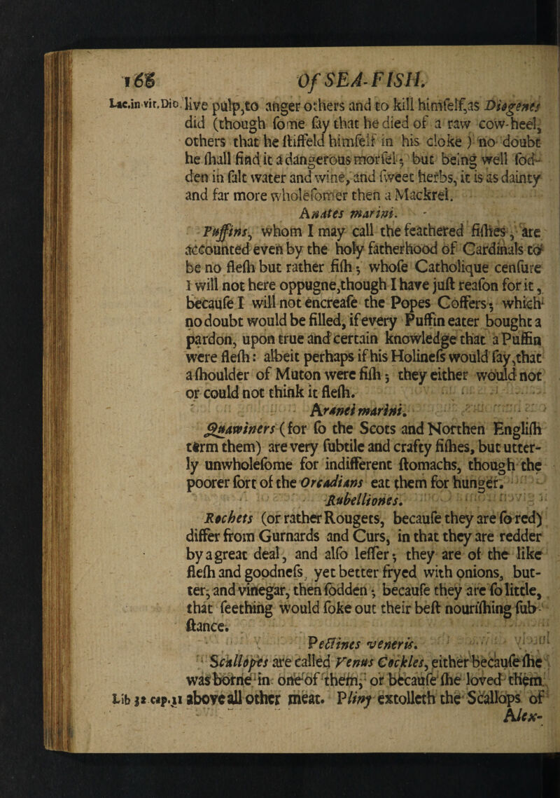 Ue.in.vit.Dio. live pulp,to atiger others and to kill hinirelf,as Diigents \ did (though fome fay that he died of a raw cow-heel, others thathellifFeldhimfelf in his cioke ) no doubt he fliall find it a dangerous rrrorfel 5 but being well foef- den in fait water and wine, and fwCet hefbs, it is as dainty and far more wholefonrier then a Mackrei. Ait/ttes marm. - Puffins^ whom I may call the fcatheted , are accounted eveft by the holy fatherhood of Cardinals tbf be no fleflibut rather filh ^ whofe Catholique cenfure I will not here oppugne,though I have juft reafon for k, bccaufe I will not encreaie the Popes Coffers -, which* no doubt would be filled, if every Puffin eater bought 3 pardon, upon true and certain Knowledge that a Puffin werefleih: albeit perhaps if his Holincfs would fay,that a (boulder of Muton were fi(hthey either would not or could not think it fle(h. - : ArdffeimarM. ^minersXiot (b the Scots andNorthen Englilh ttrmthem) are very fubtile and crafty filhes, but utter¬ ly unwholelbme for indifferent ftomachs, though-the poorer fort of the Oreadiam eat them for hungdr. ■Aul^elliones. R$chets (or rather Rougets, becaufe they are (b red) differ from Gurnards and Curs, in that they are redder by a great deal, and alfo leffer-, they are of the like fie(h and gopdncfs_ yet better fryed with onions, but¬ ter^ and vinegar, then (bddcn-, becaufe they arc fo little, that feetWiig would foke out their beft nouri(hing (ufr- fiance. X VeSlints ve»eris. ■ . ■ ‘ ScklUf^s afe called Fenus Ctckles, either Becaufelhe ' waSbbfriedn oifo^bf tbeiitj' of becau(^(he loved cHot. lib j* «p.«aboycall other meat. P/fw extoUeth the* Scallops of Alex-