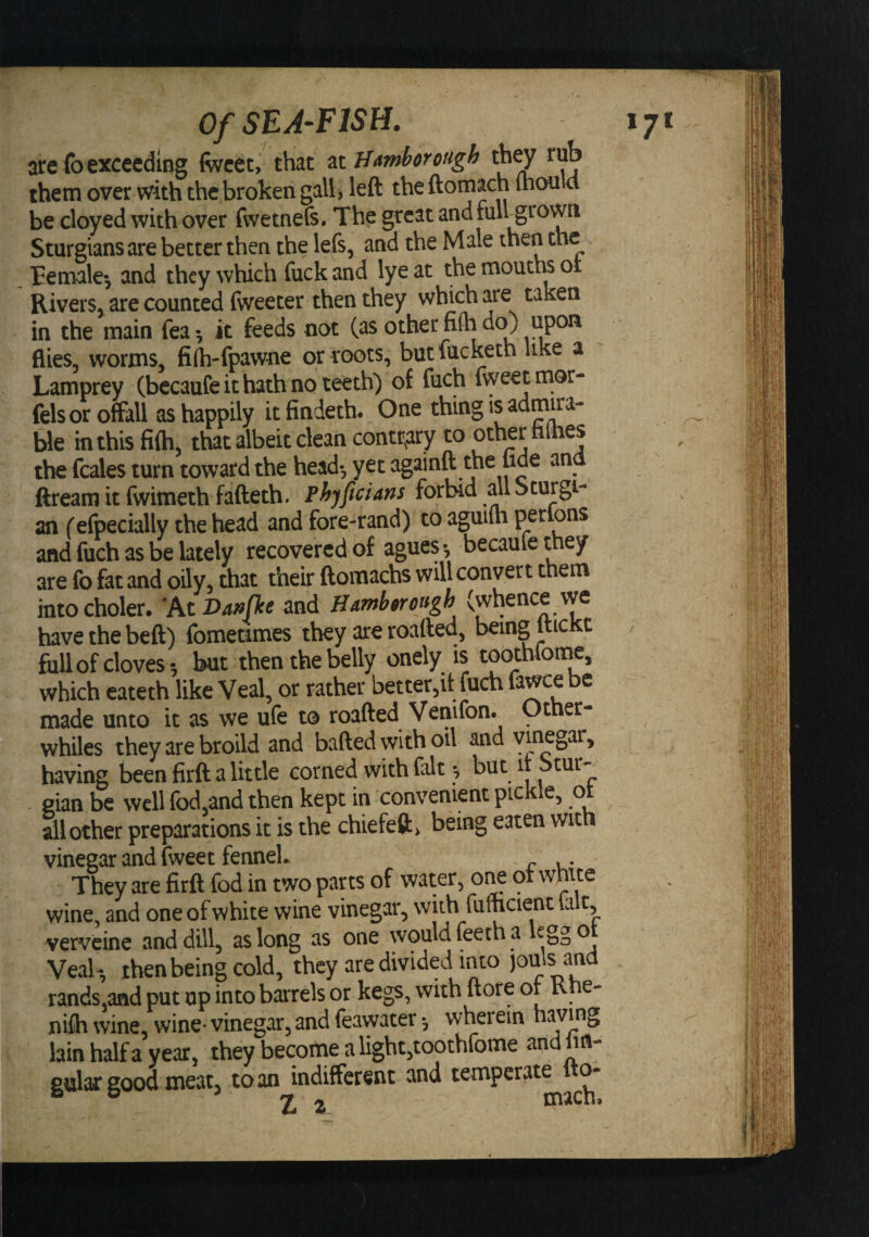 are fo exceeding fiveet, that zt Bamhorough th^ rub them over with the broken gall, left the ftomach Ihould be cloyed with over fwetnefs. The great and full grown Sturgians are better then the lefs, and the Male then the Female^ and they which fuck and lye at the mouths oi Rivers, are counted fweeter then they whxh are taken in the main feait feeds not (as other fiih do) upon flies, worms, fi(h-fpawne or roots, butiucketh like a Lamprey (becaufe it hath no teeth) of fuch fweet naor- felsoroffall as happily itfindeth. One thing is admna- ble in this fifti, that albeit clean contrary to other tithes the fcales turn toward the head-, yet ftreamitfwimethfafteth. Phjficians forbid all Sturgi- an f efpecially the head and fore-rand) to aguilh perlons and fuch as be lately recovered of agues becaule they are fo fat and oily, that their ftomachs will convert them intocholer. and Hamhfirot^gh (whence we have the beft) fometimes they are roafted, being Itickt full of cloves-, but then the belly onely is toothfome, which eateth like Veal, or rather better,it fuchfawcebe made unto it as we ufe to roafted Venifon. Other- whiles they are broild and bafted with oil and vinegar, having been firft a little corned with fait ^ but it ^tur- - eian be well fod,and then kept in convenient pickle, ot all other preparations it is the chiefeft, being eaten wit vinegar and fweet fennel. They are firft fed in two parts of water, one ot white wine, and one of white wine vinegar, with fumcient la t, verveine and dill, as long as one would leech Veab, then being cold, they are divided into johls rands,and put up into barrels or kegs, with ftore or Kne- ni(h wine, wine* vinegar, and feawater wherein having lain half a year, they become a light,toothfome and nn- gular good meat, to an indifferent and temperate o