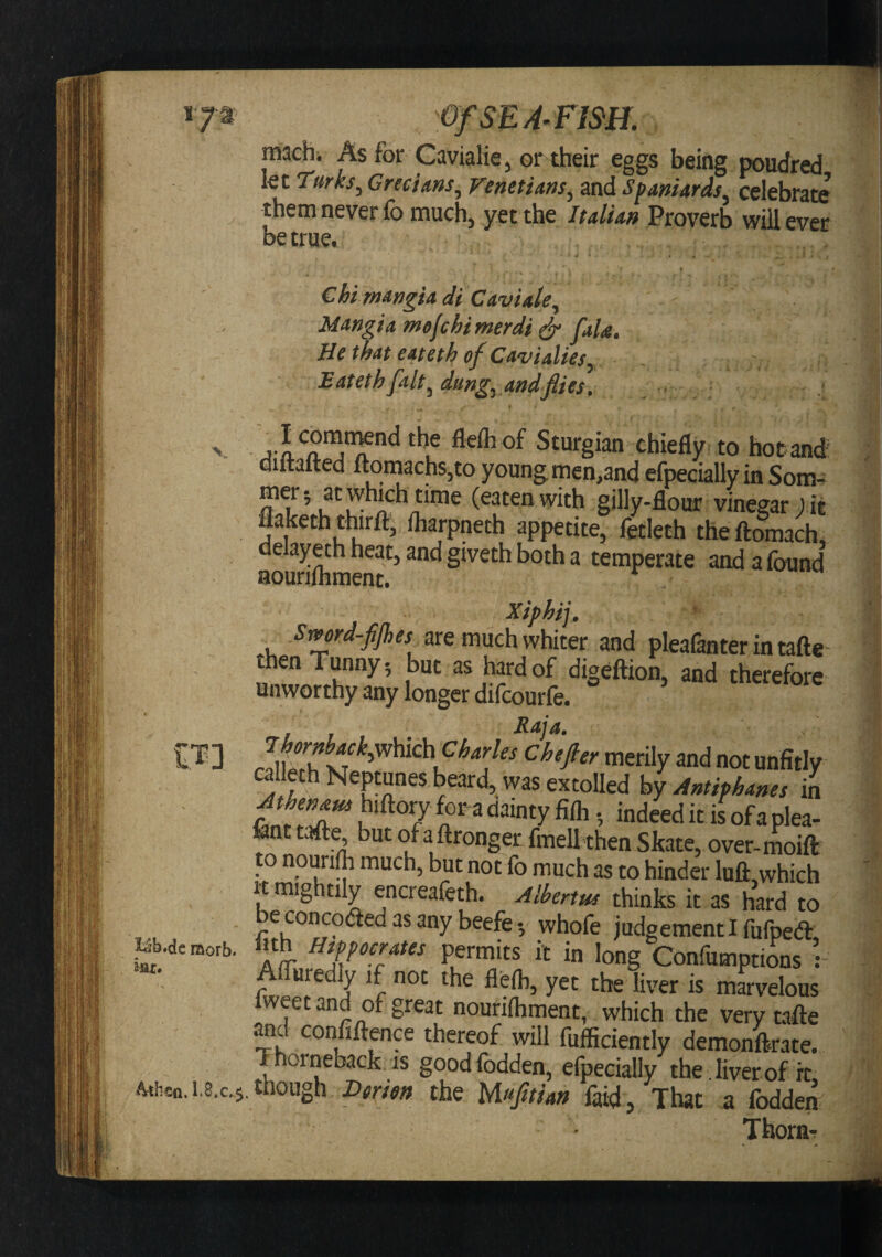 icfbtde ^thcn. OfSEA-Fim. machi Asfor Cavialie, or their eggs being poudred let Turks, Grecians, Venetians, and Sfaniards, celebrate them never fo much, yet the Italian Proverb will ever betrue.^ Chi mAngia di Caviale, Mangia mejchimerdi^ faU. He that eateth of Cavialies, Eateth fait, dung, and flies, _ • j Sturgian chiefly to hotand: diltalted ftomachs^to young men,and efpecially in Som-^ met; at which time (eaten with gilly-flour vinegar rit flaketh third, lharpneth appetite, letleth theftomach, aoun^ment^^ giveth both a temperate and a (bund Xiphij. Smrd-fljhes are much whiter and pleafanter in tafte then Tunny 5 but as hard of digeftion, and therefore Unworthy any longer dilcourle. unfitly calleth Neptunes beard, was extolled hy Antiphanes in tZl’T S' “deed it is of a plea- tent tafte but of a ftronger fmellthen Skate, over-moift to nourifh much, but not fo much as to hinder luft,which It mightily encreafeth. Alkrtm thinks it as hard to be concoded as any beefe •, whofe judgement I fufpeft, fith mppocrates permits it in long Confumpti^^us : AlTuredly if not the flefti, yet the liver is marvelous weetand of great nourilhment, which the very tafte Mcl confidence thereof will fufficiently demonftrate. Thorneback. is goodfodden, efpecially the , liver of rt I.8.C.5.though the Wfitian faid, That a fodden Thorn- raorb.