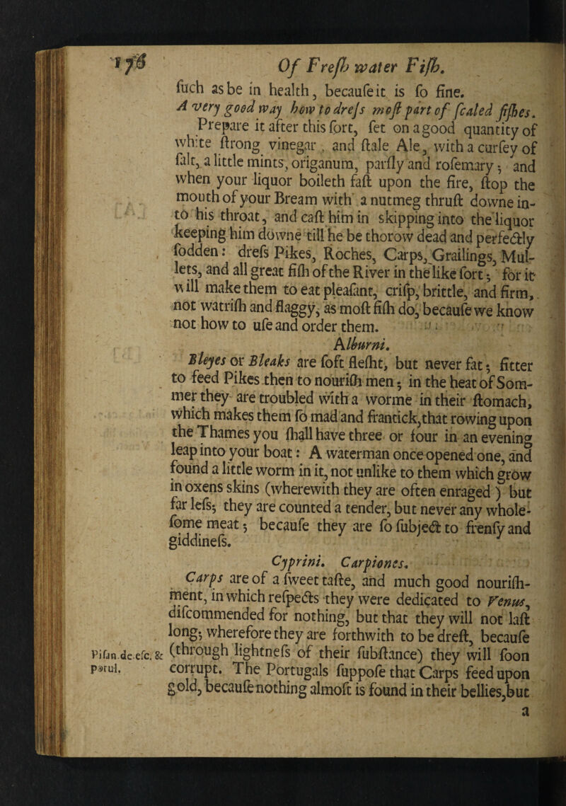 Vifandeefc. &amp; pj)ru-l. Of Frepj water Ftfh. fuch as be in health, becaufeic is fo fine, A ver'j good way how to drejs mofi fart of fcaled ffles. Prepare it after this fort, fet on a good quantity of white ftrong vinegar, and ftale Ale, with a curfey of ' , flit, a little mints, origanum, parfly and rofemary *, and when your liquor boileth faft upon the fire, ftop the mou th of your Bream with’ a nutmeg thruft dovvne in¬ to his throat, andcafthimin skipping into the liquor keeping-him downe till he be thorow dead and perfedly •' fodden: drefs Pikes, Roches, Carps, Grailings, Mul- ] lets, and all great fifli of the River in the like fort ^ for k will makethem to eat plealant, crifp, brittle, and firm, not watrifli and flaggy^ as moft fifh do, becaufe we know not how to uie and order them. ' hlburiti. Bleyes Bleaks are foft fleflit, but never fat 5 fitter ^ to feed Pikes then to nouriffi men • in the heat of Som- f : mer they are troubled vidth a worme in their ftomach, ^ which makes them fo mad and frandck,that rowing upon m the Thames you (hall have three or four in an evening 'v leap into your boat; A waterman once opened one, and ■ found a little worm in it, not unlike to them which grow 1 in oxens skins (wherewith they are often enraged ) but *1 far lefs-, they are counted a tender, but never any whole* 1 fome meat 5 becaufe they are fo fubje&lt;S to frenfy and * giddinefs. , Cjprint^ Carfunes^ Carps are of a fweettafte, and much good nourifli- inent, in which refpedls they were dedicated to Fenus^ difcommended for nothing, but that they will not laft long, whereforethey are forthwith tobedreft, becaufe (through lightnefs of their fubftance) they will foon corrupt. The Portugals fiippofe that Carps feed upon gold, becaufe nothing almoft is found in their bellies,but a