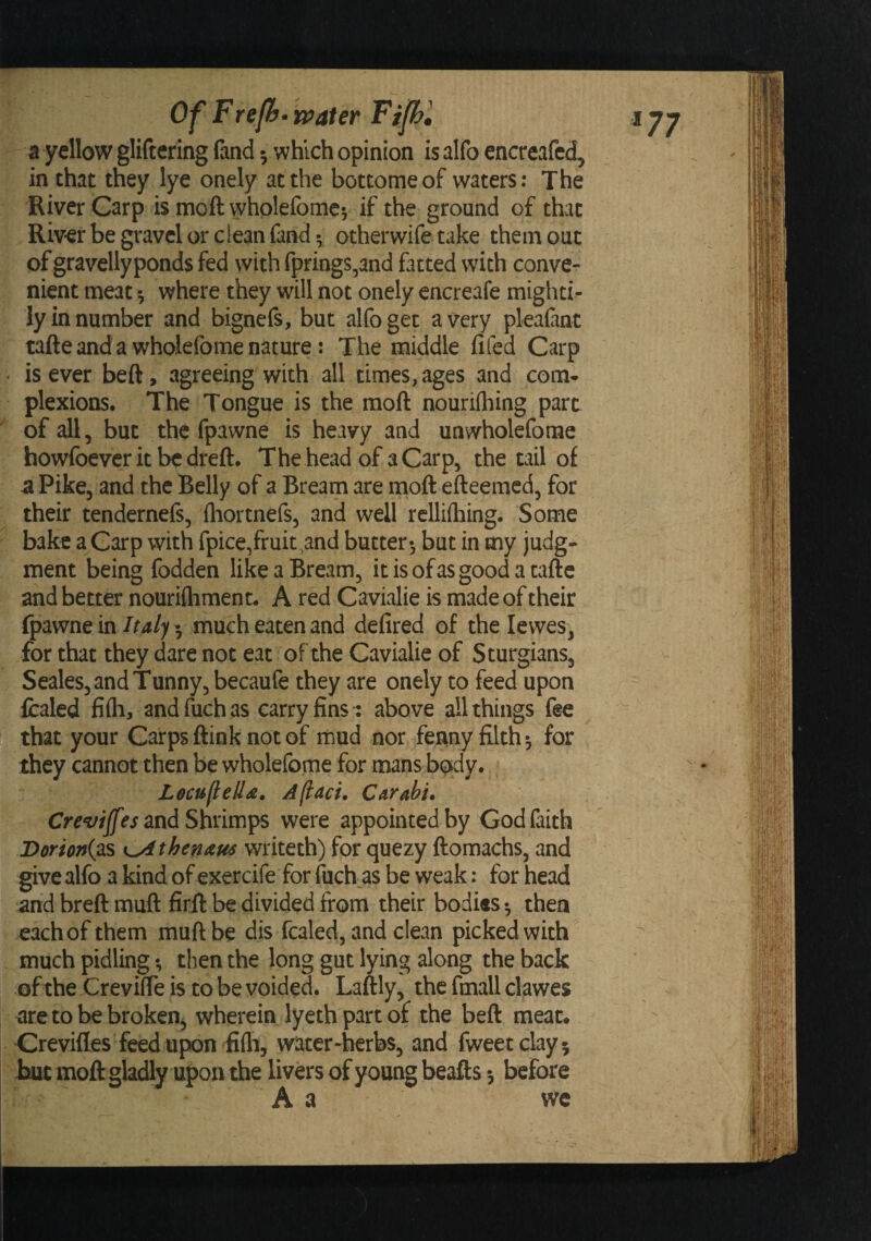 Of Frejh- loafer Fip[;l a yellow gliftering fand ^ which opinion is alfo encreafed, in that they lye onely at the bottomeof waters: The River Carp is moft wholefomev if the ground of that Riv-er be gravel or clean fand 5 otherwife take them out of gravellyponds fed with fprings,and fatted with conve¬ nient meat ^ where they will not onely encreafe mighti¬ ly in number and bignefs, but alfo get a very pleafint tafte and a wholefome nature : The middle fifed Carp • is ever beft, agreeing with all times, ages and com¬ plexions, The Tongue is the moft nourifhing part of all, but the fpawne is heavy and unwholeforae howfoeverit bedreft. The head of a Carp, the tail of 3. Pike, and the Belly of a Bream are moft efteemed, for their tenderneft, fliortnefs, and well rellifhing. Some bake a Carp with fpice/ruit^and butter*, but in my judg¬ ment being fodden like a Bream, it is of as good a tafte and better nouriftiment, A red Cavialie is made of their fpawne in Italy ^ much eaten and defired of the le wes, for that they dare not eat of the Cavialie of Sturgians, Seales, and Tunny, becaufe they are onely to feed upon licalcd fifli, andfuchas carry fins*: above all things fee that your Carps ftink not of mud nor fenny filth 5 for they cannot then be wholefome for mans body. Lecuflella, A (I act, Carahi. and Shrimps were appointed by God faith Dorioni^^ thenaus writeth) for quezy ftomachs, and give alfo a kind of exercife for fuch as be weak: for head and breft muft firil be divided from their bodies ^ then each of them muft be dis fcaled, and clean picked with much pidling *, then the long gut lying along the back of the Crevifie is to be voided. Laftly, the fmall clawes are to be broken^ wherein lyeth part of the beft meat. Crevifles feed upon fifli, water-herbs, and fweetclay^ but moft gladly upon the livers of young beafts 3 before A a we