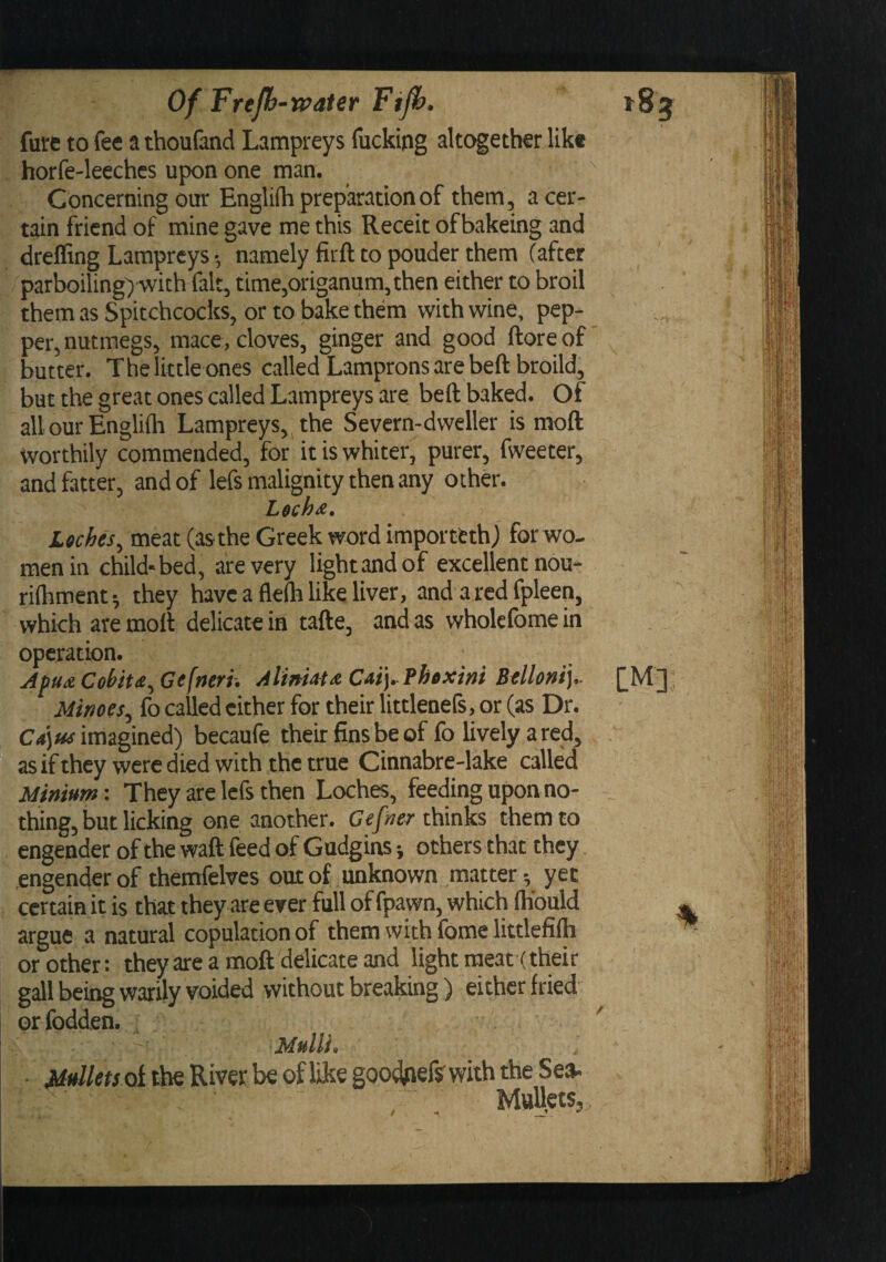Of Frejh-roater Ftp. tS j fure to fee a thoufand Lampreys fucking akc^ether like , horfe-leeches upon one man. ' Concerning our Engliih preparation of them, a cer¬ tain friend of mine gave me this Receit of bakeing and dreffing Lampreys •, namely firft to pouder them (after parboiling) with fait, time,origanum, then either to broil them as Spitchcocks, or to bake them with wine, pep¬ per, nutmegs, mace, cloves, ginger and good ftoreof butter. The little ones called Lamprons are beft broild, but the great ones called Lampreys are beft baked. Of allourEnglifti Lampreys, the Severn-dweller is moft worthily commended, for it is whiter, purer, fweeter, and fatter, and of lefs malignity then any other. Lee ha. Leches, meat (as the Greek word imporetthj for wo¬ men in child* bed, are very lightand of excellent nou*- riihment; they have a flelh like liver, and a red fpleen, which are moft delicate in tafte, and as wholefome in operation. ApuaCohit£,Gefneri. jtlimata Cat)^Phexm Belloni].. [M] Mimes, fo called cither for their littlenels, or (as Dr. C*) w imagined) becaufe their fins be of fo lively a red, , as if they were died with the true Cinnabre-lake called Minium: They are lefs then Loches, feeding upon no¬ thing, but licking one another. thinks them to engender of the waft feed of Gudgins} others that they engender of themfelves out of unknown matter-, yet certain it is that they are ever full of fpawn, which (Kould argue a natural copulation of them with fome littlefifti or other: they are a moft delicate and light meat (their gall being warily voided without breaking) either fried orfodden. . ' ■ of the River be of like goodpelsr with the Sea- Mallets, /
