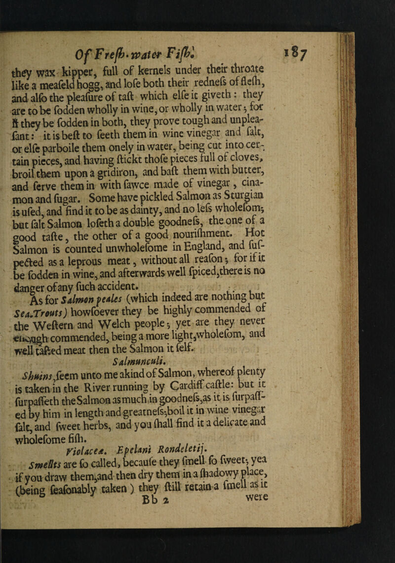 th^ waX' kippef, full of kernels under their throate like a meafeld hogg, and lofe both their rednefs of fleih, and alfo the pleafure of taft which elfe it giveth: they are to be (bdden wholly in wine, or wholly in water ^ for ft they be fodden in both, they prove tough and unplea^- iant: it is beft to feeth them in wine vinegar and fait, or elfe parboile them onely in water, being cut into cer¬ tain pieces, and having ftickt thofe pieces full of cloves, broil them upon a gridiron, and baft theni with butter, and fcrve them in with fawce made of vinegar, cina- mon and fiigar. Some have pickled Salmon as Sturgian is ufed, and find it to be as dainty, and no lefs wholefom^ hat (alt Salmon lofeth a double goodnefs, the one of a good tafte, the other of a good nouriftiment. Salmon is counted unwholefome in England, and ful- pedled as a leprous meat, without all reafon ^ for if tc be fodden in wine, and afterwardswell fpiced,there is no danger of any fuch accident. As for Salmon feales (which indeed are nothing but SeaJTrouts) howfoever they be highly commended of the Weftern and Welch people^ yet are they never ^t*c^h commended, being a more light,wbole(bm, and well tafted meat then the Salmon it felf. SalmuncftlL ShmnsS^^^ unto me akindof Salmon, whereof plenty is taken in the River running by Cardiffcaftle: but it furpalTeth theSalmoaasmuch.in goodnefs,as it is furpall- ed W him in length and greatnefs-,boil it in wine vinegar fait, and fweet herbs, and you (hall find it a delicate and wholefome fi(h. VioUcea. EpeUni Rondclett). SmeBts are fo called, becaufe they fmell fo fweet-, yea if you draw them,and then dry them inafeadowyplace, Cluing feafonably taken) they ftill retain a fmell as it