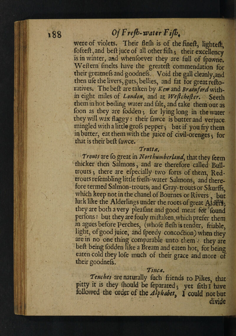 were of violets. Their flcfli is of thefineft, lighted, fofteft,and beftjuceof all other fifli} their excellency ’ is in winter, and whenfoevcr they are full of fpawne. Weflern fmelts have the greaceft commendation for their greatnefs and goodnefs. Void the gall cleanly,and then ufe the livers, guts, bellies, and fat for great refto- ratives. The beft are taken by Kerv and Brainford with- | in eight miles of London, and at Weftchefter. Seeth ji them in hot boiling water and fait, and take them out as I foon as they are fodden-, for lying long in the water - f they will wax fl^gy: their fawce is butter and verjuce mingled With a little grofs pepper; bat if you fry them in butter, eat them with the juice of civil-orenges; for that is their beft fawce. Trttttx, Trewr are fo great in that they fcem thicker then Salmons, and are therefore called Bull¬ trouts; there are efpecially two forts of them. Red- § trouts refembling little frefti-water Salmons, and there- H fore termed Salmon-trouts; and Gray-trouts or Skurffs, I which keep not in the chanel of Bournes or Rivers, but » lurk like the Alderlings under the roots of great 'W they are both a very pleafint and good meat fof'found . a perfons: but they are fouly miftaken,which prefer them 1 in agues before Perches, (whofe flelh is tender, friable, ** light, of good juice, andfpeedy concodion) when they ‘;- are in no one thing comparable unto them .- they arc beft being fodden like a Bream and eaten hot, for being eaten cold they lofe much of their grace and more of S' their goodnels. Tinea, , Tenches are naturally fuch friends to Pikes, that pitty it is they Ihould be feparated; yet fitbl have followed the wder of the 1 could not but