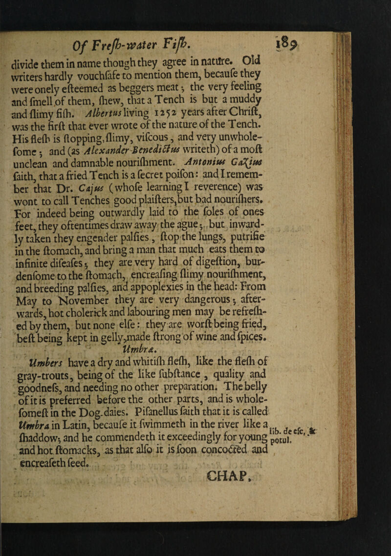 Of Frefb-WAter divide them in name though they agree in nature. Old writers hardly vouchfafc to mention them, becaufe they were onely efteemed as beggers meat •, the very feeling andfmell.ofthem, (hew, that a Tench is but a muddy and (limy fi(h. AlbemsXmng 1252 years after Chrift, was the fir ft that ever wrote of the nature of the Tench. Hisflefb is (lopping, flimy, vifcous, and very unwhole- fome 5 and (as Alexander-'BtnediStus writeth) of a moft unclean and damnable nourifhraent. Antoniut GiC^hs faith, that a fried Tench is a fecret poifon: and I remem¬ ber that Dr. C(i]us (whofe learning I reverence) was wont to call Tenches good plaifters,but bad nourilhers. Tor indeed being outwardly laid to the foies of ones feet, they oftentimes draw away the ague;, but inward¬ ly taken they engender palfies, flop the lungs, putrifie in the ftomach, and bring a man that much eats them to infinite difeafes ^ they are very hard of digeftion, bur- denfome to the ftomach, encreafing flimy nourilhment, and breeding palfies, and appoplexies in the head: from May to November they are very dangerous-, after¬ wards, hot cholerkk and labouring men may be refrefh- ed by them, but none elfe: they are word being fried, beft being kept in gelly,made ftrong of wine andfpices. . Urnbr^. Umbers have a dry and whitifh fle(h, like the flefh of gray-trouts, being of the like fubftance , quality and : gdodnefs, and needing no other preparation. The belly of it is preferred before the other parts, and is whole- fomeft in the Dog.daies. Pifanellus faith that it is called; UmbrA in Latin, becaufe it fwimmeth in the river like flvaddow-, and he commcndeth it exceedingly for young pgiui® • andhotftomacks, asthat alfo it jsibon concodifed and encreafethfeed. CHAP. I .4-- I I.':