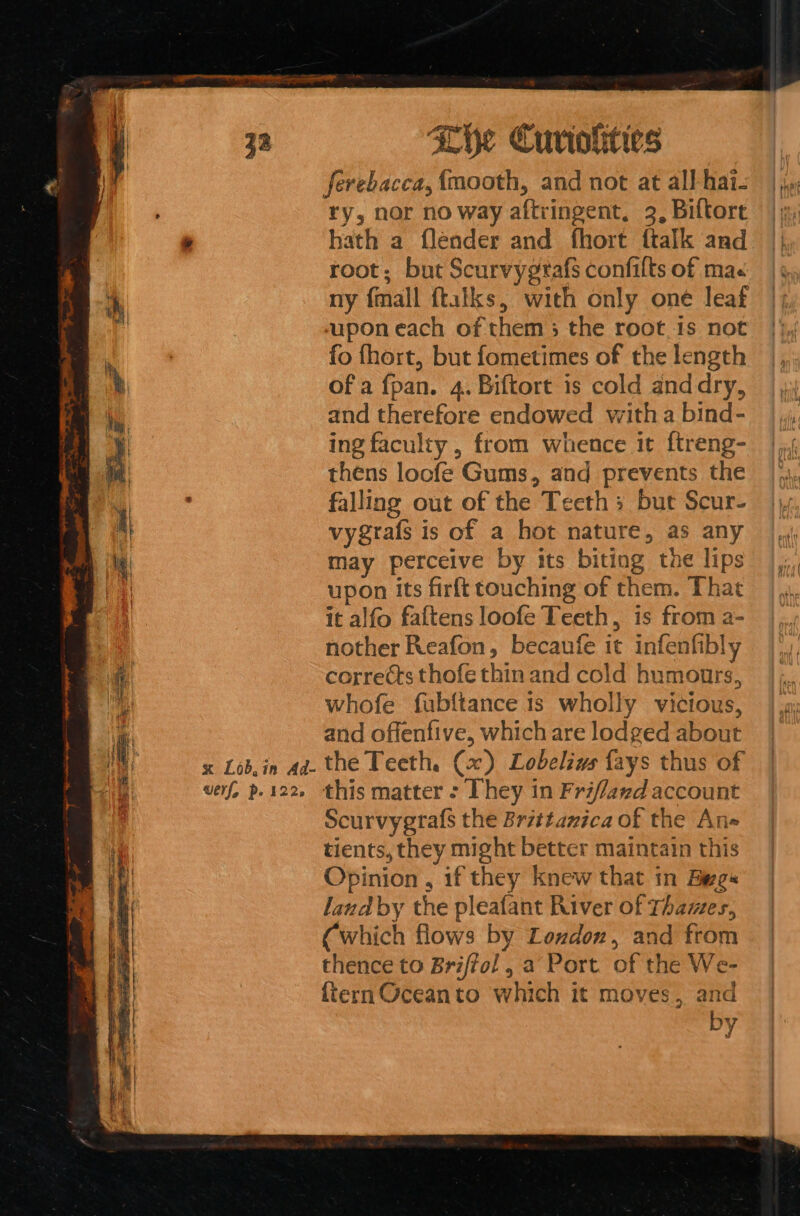 os : Paes ee = ones : as oes es é = cee ET EEE x Lob.in Ad- werf, p. 122. ry, nor no way aftringent. 2, Biftore hath a flender and fhort ftalk and root; but Scurvygrafs confilts of ma ny {mall ftalks, with only one leaf upon each of them; the root.1s not fo fhort, but fometimes of the length of a {fpan. 4. Biftort is cold anddry, and therefore endowed with a bind- ing faculty , from whence it ftreng- thens locfe Gums, and prevents the falling out of the Teeth s but Scur- vygrafs is of a hot nature, as any may perceive by its biting the lips upon its firft touching of them. That it alfo faftens loofe Teeth, is from a- nother Reafon, becaufe it infenfibly corrects thofe thin and cold humours, whofe fub{ftance 1s wholly vicious, and offenfive, which are lodged about the Teeth. (x) Lobeliws fays thus of this matter - They in Frif/and account Scurvygrafs the Brittanica of the An tients, they might better maintain this Opinion , if they knew that in Begs land by the pleafant River of Thames, (which flows by Loudon, and from thence to Briffol , a Port. of the We- {tern Oceanto which it moves, and by