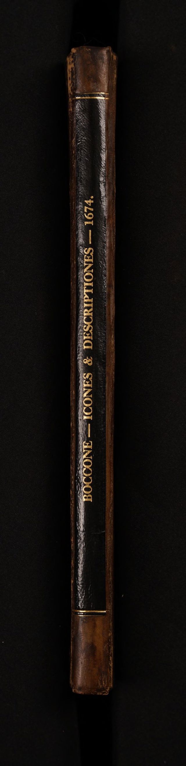 digitised image 2