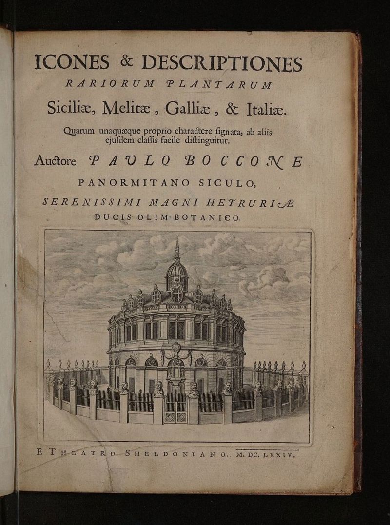 ICONES & DESCRIPTIONES HoMRIORUM PLANTARUM Sicilie, Meli , Gallix , & [talize. Quarum unaquzque proprio charactere fignata, ab aliis ejufdem claffis facile diftinguitur. Auctore T AU. LOO O0 C0U INE PANORMITANO SICULO, 4 | SERENISSIMI MAGNI HETRURI«c£ 'B DUCIS OLIM- BOTANI€O t