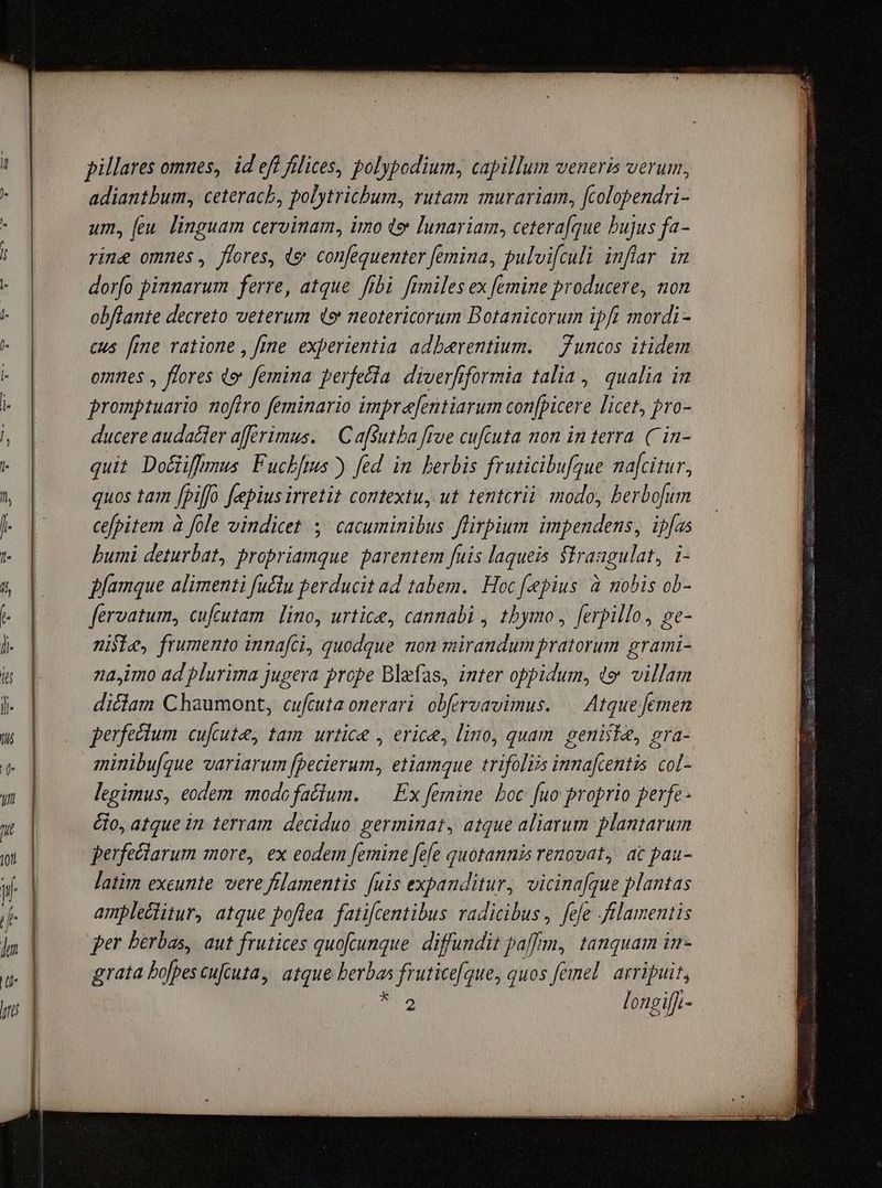 ONSE EU Ree uen pillares omnes, id eft filices, polybodium, capillum veneris verum, adiantbum, ceteracb, polytrichum, rutam murariam, fcolopendri- um, [eu linguam cervinam, imo (e lunariam, cetera[que bujus fa- rine omnes, flores, «9 confequenter femina, pulvi[culi inflar im dorfo pinnarum ferre, atque fibi fimiles ex femine producere, non obflante decreto veterum e neotericorum Botanicorum ipft mordi- cus fime ratione , frme experientia adberentium. — Juncos itidem omnes , flores «e femina perfecia diverfiformia talia ,' qualia in promptuario nofiro feminario impre[entiarum con[picere licet, pro- ducere audacter afferimus. | Cafsutba [rue cufcuta mon in terra. C in- quit Do&iffmus Fuchfms ) fed in herbis fruticibu[gue nafcitur, quos tam [piffo fepius irretit contextu, ut tentcrià. modo, berbofum bumi deturbat, propriamque parentem fuis laqueis ffraagulat, i- ffamque alimenti fuclu perducit ad tabem. Hoc fepius: à nobis ob- fervatum, cufcutam. lino, urtice, canmabi , 1bymo , ferpillo, e- nile, frumento innafci, quodque non mirandumpratorum grami- naimo ad plurima jugera prope Blefas, inter oppidum, d» villam diclam Chaumont, cufcuta onerari. obfervavimus. — Atquefemen perfectum cufcute, tam. urtice , erice, lino, quam penisle, era- minibu[que variarum [pecierum, etiamque trifoliis innafcentis. col- legimus, eodem modofacium. — Ex femine boc [uo proprio perfe. &o, atque in terram. deciduo germinat, atque aliarum plantarum perfeclarum more, ex eodem femine fee quotannis renovat, ac pau- latim exeunte. vere fflamentis fuis expanditur, vicina[que plantas amplectitur, atque poflea. fatifcentibus radicibus , fee lamentis fer berbas, aut frutices quofkunque. diffundit paffm, tanquam im- grata bofpes cucuta, atque berbas frutice(que, quos femel. arripuit, 2 longiffi-