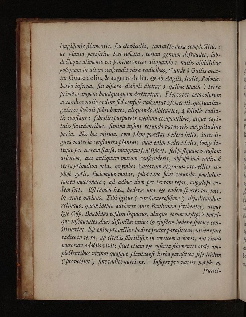 longiffimis filamentis, feu claviculis, tam ar&do nexu compledlitur « ut planta para[itica. bec cufcuta , eorum. genium defraudet, fub- ducioque alimento eos penitus enecet aliquando *. mullis vifibilibus pofíquam in altum con[cendit nixa radicibus, C unde à Gallis voca- tur Goute delin, & augurre de lin, te ab Anglis, Italis, Polonis, berba inferna, feu vifcera. diaboli dicitur ) quibus tamen à terra primó erumpens baudquaquam destituitur.. Floresper. capreolorum mandros nullo ordine fed confufe nafcuntur glomerati, quorum fin- gulares fiofculi ubrubettes, aliquando albicantes, 4 foliolis radia- tis confiant ;. fibrillis purpureis medium occupantibus, atque capi- tulis [uccedentibus, femina infunt rotunda papaveris magnitudine paria. Nec boc mirum, .cum idem prestat bedera belix, inter li- gnea materia conftantes plantas: dum enim bedera belix, longe Ia- teque per terram [parfa, nunquam fru&iificat, fed pofiquam vetuflam arborem, aut antiquum murum confcenderit, abfciffa imá radice é terra primulum orta, corymbos Baccarum nigrarum proveclior. co- piofe gerit, faciemque mutat, folia tunc. funt rotunda, paululum tamen mucronata ; af? adbuc dum per terram repit, angulofa. ea- dem fert... Efl tamen bec, bedere una. 4e eadem fpecies pro loco, (e etate varians. Tibi igitur ( vir Generofiffme ) dijudicandum relinquo, quam inepte autbores ante Baubinum [cribentes, atque ife Cafp. Baubinus eofdem [equutus, aliique eorum wefligi's bucuf- que infequentesduas diflinclas unius de ejufdem bedere fpecies con- SHituerint. Ef enimprovetiior bedera frutex parafiticus vivens fine radice in terra, afl cirrbis fibrillifoe in corticem arboris, aut rimas murorum adactis vivit; ficut etiam de» cufcuta filamentis arfle am- plectentibus vicinas quafgue plantaseft berba parafitica, fefe itidem Cprovedlior ) fmeradicenutriens. — Infuper pro variis herbis. ac frutici-