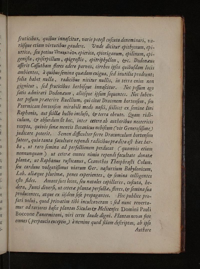 fruticibus, quibus innafcitur, varie potefl cufzuta denominari, va- rlifque etiam virtutibus paudere. — Unde dicitur epitbymum, epi- urtica, feu potius Caxaoaqn, epierica, eploriganum, epilinum, epi- genifla , epiferpillum , epigroflis , epitribbyllon , dec. Dodoneus aperit Caffutbam flores edere parvos, cirrbos ipfos quibufdam locis ambientes, à quibus femina quedam exigua, fed inutilia prodeunt; folia babet nulla, radicibus nititur nullis, in terra enim. mon gienitur ,. fed fruticibus. berbifgue. innafcitur. Nec Poflum ego fatis admirari Dodoneum , aliofque ipfum fequentes. Nec luben- ter pofum preterire Ruellium, qui citat Draconem bortenfem , feu Piarmicam bortenfem. mirabili modo nafci, fGilicet ex femine lini Rapbanis, aut feille bulbo inclufo, de terra obruto. Quam ridi- culum, 4 abjurdum fit boc, imter. cetera ab. autboribus neotericis recepta, quivis Jane mentis Botanicus nobifcum Coir Generofif]une ) Judicare poterit. — Semen difficulter ferre Dracunculum bortenfem fateor, quia tanta facultate rependi radicibuspradita efl bec ber- ba , ut raro femina ad perfectionem perducat. C quamvis etiam Honnunquam ) ut cetere ommes nimia rependi facultate donate plante, ut Raphbanus rufficanus , Ceanotbos Ti beophrafli Colum. feu carduus vulgatiffmus viarum Ger. nafturtium Babylonicum, Lob. alieque plurime, penes experientes , t» femina. colligentes effo fides. — Amant fuos locos, feu natales capillares , cufcuta, be- dera, Junci diverfi, ut cetere plante perfecie, flores, de femina [ua producentes, atque ex iifdem fefe propagantes. Hoc publice pro- fari volui , quod privatim tibi inculcaveram : fed nunc reverta- mur ad rariores bafce plantas Siculaste: Melitenfes Domini Pauli Boccone Panormitani, viri certe. laude digni. Plantas novas fere omnes ( perpaucis exceptis ) à nemine quod. fciam defcriptas, ab ib[o | Autbore