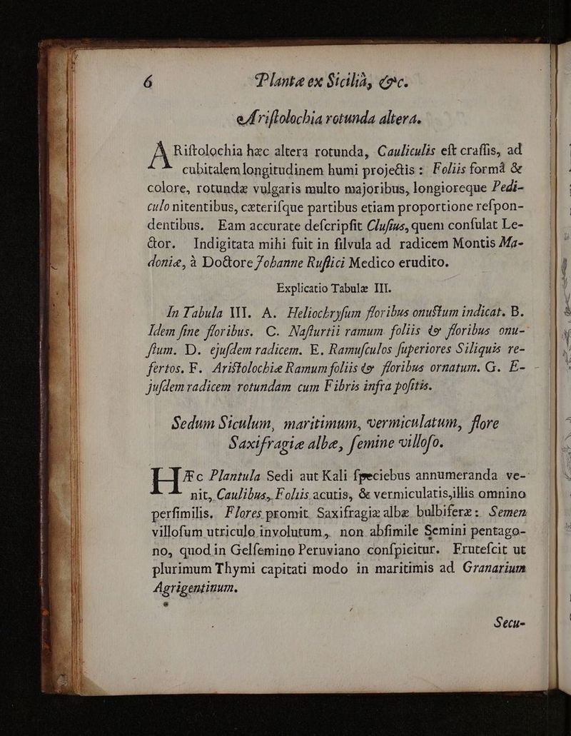 e/frillolochia rotunda altera. Riftolochia hzc altera rotunda, Cauliculis eft craffis, ad ^ cubitalem longitudinem humi proje&is : Foliis formà & colore, rotunda vulgaris multo majoribus, longioreque Pedi- culo nitentibus, cxterifque partibus etiam proportione refpon- dentibus. Eam accurate defcripfit C/ufius, quem confulat Le- Gor. Indigitata mihi fuit in filvula ad radicem Montis Ma- donie, à Do&ore Zobanne Ruflici Medico erudito. | Explicatio Tabula III. In Tabula VI. A. Heliochbryfum foribus onustum indicat. B. ldem fine floribus. C. Naffurtii ramum. foliis «* floribus. onu- fium. D. ejufdem radicem. E. Ramufculos fuperiores Siliquis re- fertos. F.. Arislolochie Ramum foliis e. foribus ornatum. G. £-. ju/dem radicem rotundam cum Fibris infra pofitis. Sedum Siculum, maritimum, vermiculatum, flore Saxifragize albe, femine villofo. Secu-