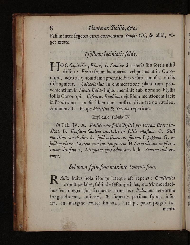 Paffim inter fegetes circa conventum Sandi Viti, & alibi, vi- perccitate. i uu | Pfllium laciniatis foliis. differt ;; .Fo/iisfolumlaciniatis, vel potius utin Coro- nopo, additis quibufdam appendicibus veluti ramofis, ab iis in Prodromo : an fit idem cum noftro divinare non audeo, Annuum eft. Prope Melillim & Saccam reperitur. Explicatio Tabulae IV. £n Tab. IV. A. Radicemte folia Pfyllii per terram strata in- dicat. B. Ejufdem Caulem capitulis «o foliis onuflum. C. Sedi maritimi ramu[culos. d. eju/dem femen. e. florem. f. pappum. G. e- ju/dem plante Caulem unicum, longiorem. H. Securidacam in plures ramos divifam.i. Siliquam ejus aduncam. k.k.. Semina inde ex- emta. Solanum fpinofum maxume tomentofum. [X ^^ hujus Solanilonge lateque eft repens :- C au/iculos promit pedales, fubinde fefquipedales, Aculezs mordaci- bus feu pungentibus frequenter armatos: Folia per nervorum longitudinem, inferne, & fuperne. paribus fpinis infe- íta, in margine leviter finuata, utráque parte pingui to- | mento