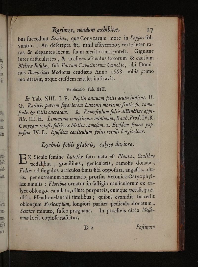 [UP vuntur. An defcripta fit, nihil affeverabo 5 certe inter ra- ras & elegantes locum fuum meritotueri poteft. — Gignitue inter difficultates , & acclives afcenfus faxorum & cautium Melite In[ule, fab Patrum Capucinorum Cenobio, ubi Domi- nus Bonamicus Medicus eruditus Anno 1668. nobis primo monítravit, atque ejufdem natales indicavit. Explicatio Tab. XIII. In Tab. XIII. L. F. Peplin annuam foliis acutis indicat. Y. G. Radicis partem fuperiorem Limonii maritimi fruticoft, ramu- fculis do foliis oneratam. X. Ramufculum foliis distinclius appi- is. MI. H.. Limonium maritimum minimum, Baub. Prod. IV .K. Conyzam retufis foliis ex Melita ramofam. a. Ejufdem Jemen. pap- pofum. YV.L. | Ejufdem cauliculum foliis retufis longioribus. Lychnis folia glabris, calyce durtore. X Siculo femine Lutetie fato nata eft Planta, Caulibus pedalibus , gracilibus, geniculatis , ramofis donata , Foliis ad fingulos articulos binis fibi oppofitis, anguftis, du- ris, per extremum acuminatis, prorfus Vetonicz Caryophyl- lez zmulis : FZoribus ornatur in faftigio cauliculorum ex ca- lyce oblongo, canulato, dilute purpureis, quinque petalis prz- ditis, Pfeudomelanthii fimilibus ;; quibus evanidis fuccedit oblongum Pericarpium, longiori pariter pediculo donatum , Semine minuto, fufco praegnans. In proclivis circa Aeffa- nam locis copiofe nafcitur. D 2 Paflinaca