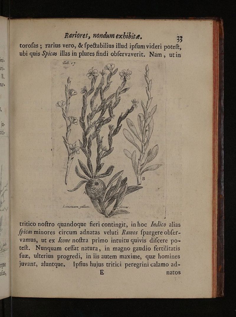 33 gab. n i ACNF T ZZ ZA ER Lu CE) X o AS ZA S CORN 7. 77 D DD E E: SS ETE Re EO. 3 2596 2S SOS MN S NNSZ 1 x ESPERE NR. SW NS Y SS N N : P s z —E jf, € MÀ ) 2 r7 JL imoruum .gallam. E