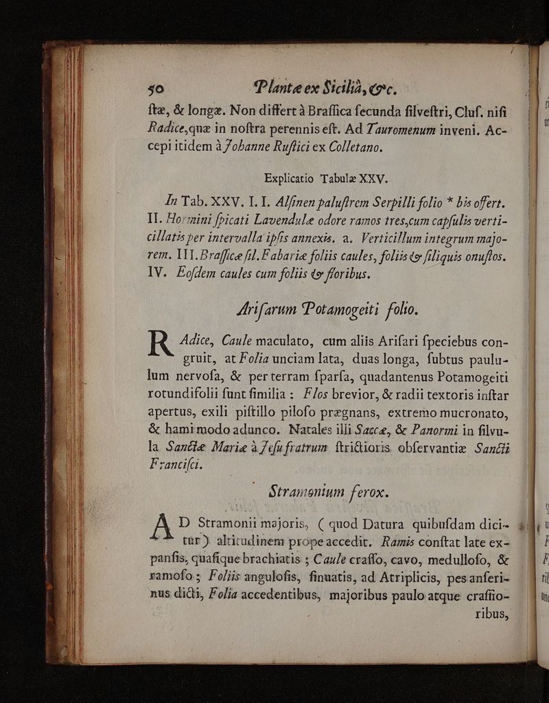 — ERA RETE TEE RET bsc oim m RUNS reemM Xs mu gn | ' so TP lante ex Sicilia, «ec. fte, &amp; longe. Non differt à Braffica fecunda filveftri, Cluf. nifi Radice,que in noftra perennis eft. Ad Zauromenum inveni. Ac- cepi itidem à /obanne Ruflici ex Colletano. Explicatio Tabule XXV. n Tab. XXV. I. I. Alfinen paluftrem Serpilli folio * bis offert. IT. Ho:mini [picati Lavendule odore ramos tres,cum capfulis verti- cillatis per intervalla ipfis annexis. a. Verticillum integrum majo- rem. 1T. Braffice fil. F abarie foliis caules, foliis do filiquis onuflos. IV. Eodem caules cum folüs t» foribus. 4rifarum Potamogeiti folto. lum nervofa, &amp; perterram fparfa, quadantenus Potamogeiti rotundifolii funt fimilia : F/os brevior, &amp; radii textoris inftar apertus, exili piftillo pilofo pregnans, extremo mucronato, &amp; hamimodo adunco. Natales illi Sacce, &amp; Panormi in filvu- la Sancie Marie à /«[ufratrum. (txidioris. obfervantie Sanc Francifci. Stramentum ferox. . D Stramonii majoris, ( quod Datura. quibufdam dici- t&amp;r) altitadinem propeaccedit. Ramis conftat late ex- panfis, quafique brachiatis ; Cau/e craffo, cavo, medullofo, &amp; ramofo; Foliis angulofis, finuatis, ad Atriplicis, pes anferi- nus didi, Folia accedentibus, majoribus paulo atque crafiio- ribus,