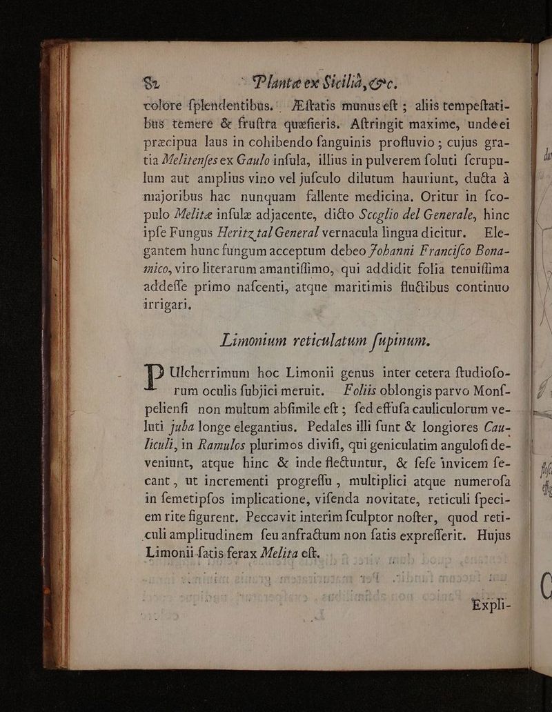 IRSE HH STE ERECTA rt ms i ic IE VMrertetee e rgegrr re vut e ctvreppypt Hi I chevet 777 Aper vois e vio afi or Mae cy TBNERAYI INN 7 GI iae T & t T T AE SRM ERU colore fplendentibus. |7Eftatis munuseft ; aliis tempeftati- Dus temere & fruítra quefieris. Aftringit maxime, undeei precipua laus in cohibendo fanguinis profluvio ; cujus gra- tia Melitenfes ex Gaulo infula, illius in pulverem foluti fcrupu- lum aut amplius vino vel jufculo dilutum hauriunt, du&a à najoribus hac nunquam fallente medicina. Oritur in fco- pulo Melite infule adjacente, di&o Sccelio del Generale, hinc ipfe Fungus Herizz tal General vernacula lingua dicitur. — Ele- gantem hunc fungum acceptum debeo Johanni Francifco Bona- gico, viro literarum amantiffimo, qui addidit folia tenui(fima addeífe primo nafcenti, atque maritimis flu&ibus continuo irrigari. Limonium veticulatum fupinum. P Ulcherrimum hoc Limonii genus inter cetera ftudiofo- rum oculis fubjici meruit. — Foliis oblongis parvo Mont- pelienfi non multum abfimile eft ;. fed effufa cauliculorum ve- luti jua longe elegantius. Pedales illi funt & longiores Cau- liculi, in Ramulos plurimos divifi, qui geniculatim angulofi de- veniunt, atque hinc & inde fle&untur, & fefe invicem fe- cant, ut incrementi progreflu, multiplici atque. numerofa in femetipfos implicatione, vifenda novitate, reticuli fpeci- em rite figurent. Peccavit interim fculptor nofter, quod reti- Limonii fatis ferax Me/ita eít. Expli-