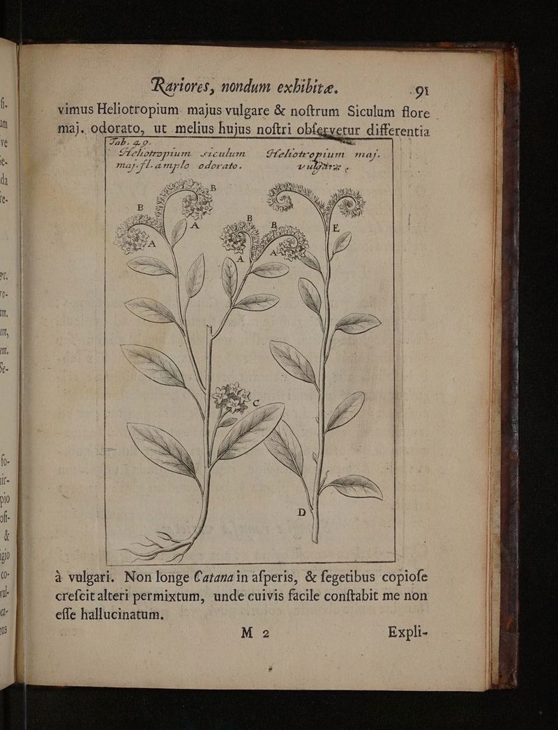 vimus Heliotropium. majus ge &amp; noftrum Siculum flore | ma). odorato, ut melius hujus noftri obfegyetur r differentia Zab. 9. PLIRORBR,  à Vichotroptum. - eLcudbum PALA IN uum ma. Jt emp. lo edorato. espe : 7n aj . € E — à vulpari. Non longe Catazain afperis, &amp; fegetibus copiofe n r crefcit alteri permixtum, unde cuivis facile conftabit me non | effe hallucinatum. M 2 | Expli- ise