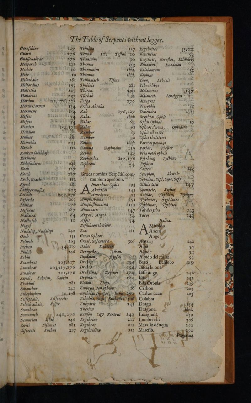 Caye/chine Guaril Hacparab Hadate Haie Halachalie Halfordins Haltetha Landrius Hardun TTlaven Carnen Hlarmene Hafcos Hafyos Handen Handion Hrumet Humetha Hazab Kevmene Kedafudarns Koah Koach Kipod Lawieermufha Letaah Lyferda Misk ar Myfoxus Nahaled. Nathalch Nieri Oach ~ Pelipah i ies Phibib ‘i Sabin Saambras Samabras Senabras Skabhul Sehanchur Schephipl 1008 Seifeptalis A Selach alhaie, Semabras Semamith Semurion Sufcetare Tene 127 Ten/ 16;° Tefluh “to Thaninim 10 Thanim 153 Thanninim thid, Thannin ibid. Taninaiach . Tifma Thiblela 231 Thiron, ° 290 Tfirhah ‘9 Valea 276 Prdea Akruka Zab 176,127 Zabas ibid: Zabar 64. 83 | 02 Z nvr, , abid: Zaphne Zaphnaim 19 Zepha 14:3 Zephardea 127, 1°76 Zipheani Ka. Gtaca nomina Serpériti com munium apedoon. , Imorrhoos Ophis 193 Akontias 143 atnodybes 53 Amiphisbaina °’ 151 A mphift hmaina 15.1 Ammoatis 147 Areas, Arges 54 Apis ‘54 Bafilikoonthevion Boas tr Geras Opheos Graat, Gefentera 306 Dakos I hey Dermefes, _ Diban. Drakop 15.4 Drakiinay ' Dryinos) 17 4 Dr yintas  17 4 Elebon, __ Elops, Embrga, ton, Sig E nhydrs is Therion Kanon 347 Karorus 243 Kegchrine 211 Keechros 211 Kegchridion air Keochrites 53-213 Kenthrias 53 Keechyis, Keraftes, Kilitdroy Kinalleos, Knodolon ~ ’ K lobourozs 5 t Kophias nese Leon, Lebaeis Libuai libys on Melamiros IA9 Cy Malouncot, Muaigros “¥- Muagros Nerophis 4 Ochendra 290 Orophia, Ophis Opbi Ophidi ‘ Lo Opheos derma, Ophidion Ophis oikoatos : ‘t Mphis thalattios Pareta pacougs Parias, °° “prefler | Pria notot opheis iS pyrrhias, — pythono Rophias sil Saetta “N4Y Scorpion, Skytale ‘ Sepedon, Sept, Sipa, Seps 4 Ww Situla Siti 14, 7 Spondele, hans Triffas, ris bier Tipilywe ‘Typhores, Typhlenes \p* > ‘Typhlinos, Typhlios ah “Ydvales ydra ' 24, Ydros 243 Italicae Miroldo pee Ange ' ; Athtza 242 Afpide aye 54 Bilcia buona” Biflgange 24.2% Bile: aye 242 — By Orbuler e #2397 Carbon 203 Carbonazza | 203 » Colubra ' 3 Drago fi any Dragone. did. Lucignola She Lumbri chi 306 Maraflo de‘aqua 290
