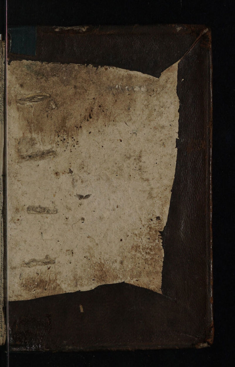 No text description is available for this image