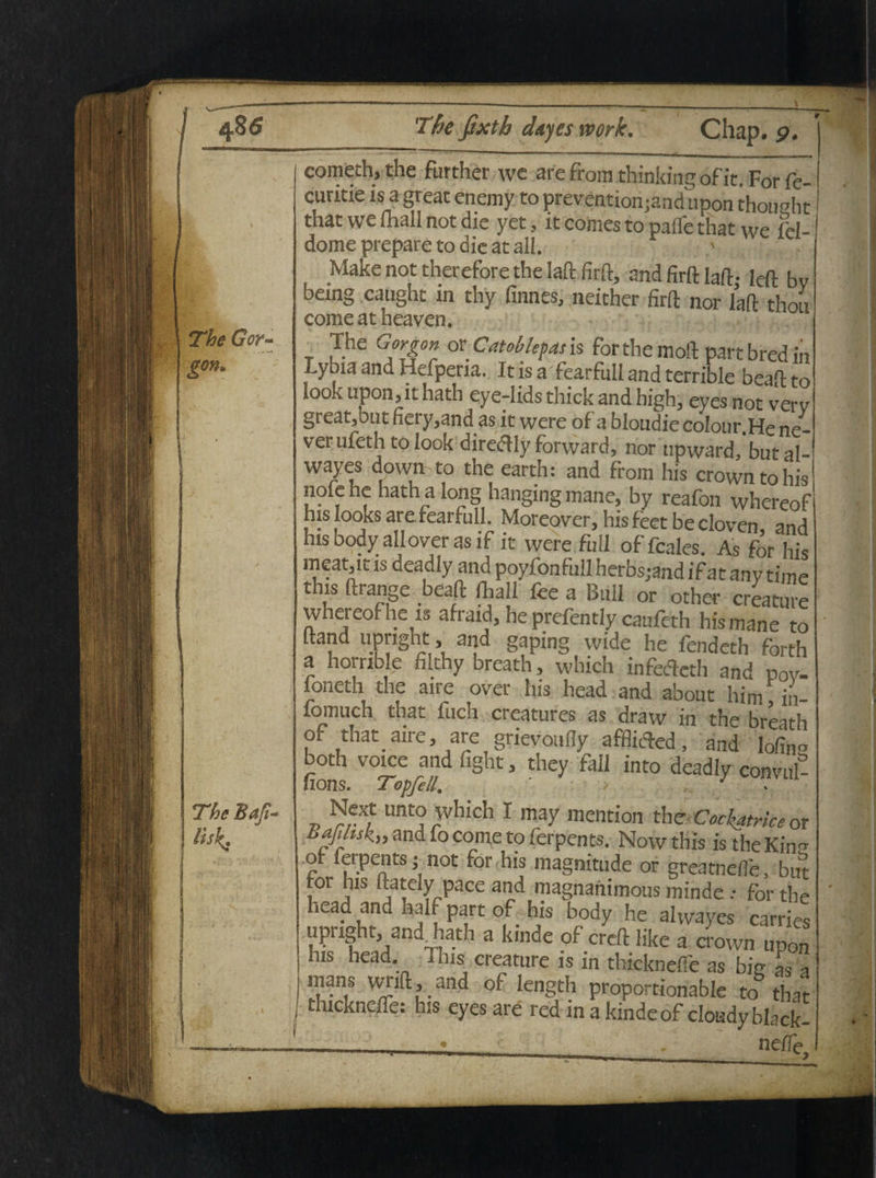 The Gor¬ gon* The Baft- lisk. \ ----- - - -- --- \ The fixth dnyes work. Chap. p. cometh, the further we arefromthinkingofit.Forfe- cuntxe is a gt eat enemy to prevention;and upon thoucht that we mali not dic yet, it comes to pafle that we lel-1 dome prepare to die at ali. Make not therefore the laft firft, and firft laft- ieft bv being caught in thy finnes, neither firft nor laft thon comeatheaven. T ,The G?Tr ov.Catoklepasis for the moft part bred in Lybia and Hefperia. It is a fearfull and terrible beaft to look upon, it hath eye-lids thick and high, eyes not verv great,but fiery,and as it were of a bloudiecoIour.Hene- verufethtolook direftly forward, nor upward, butal- wayes down to the earth: and from his crown to his nole he hath a long hanging mane, by reafon whereof his looks are fearfull. Moreover, hisfeet becloven, and his body allover as if it were full of fcales. As for his meat,it is deadly and poyfonfullherbsjand if at any time t is ftrange beaft fhall fee a Bull or other creature whereof heis afraid, he prefently caufeth his mane to ftand upright, and gaping wide he fendcth forth a horrible filthy breath, which infefteth and pov- loneth the aire over his head and about him in- fomuch that fuch creatures as draw in the hreit-h of that aire, are grievoufly afflitfed, and lofiiw both voice and fight, they fall into deadly convul- fions. Topfell. ' 3 Next unto which r may mention the Cochatrke or Bafihsk,, and fo come to ferpents. Now this is the Kiiw of ferpents; not for his magnitude or greatnelfe, but for his ftately pace and magnanimous minde .• for the head and half part of his body he alwayes carries upnght, andjiath a kinde of creft like a crown upon his head This creature is in thicknefie as bie as a mans wnft, and of length proportionable to that thickncLe: his cyes are red in a kinde of clondy black- - __ , ne/fe