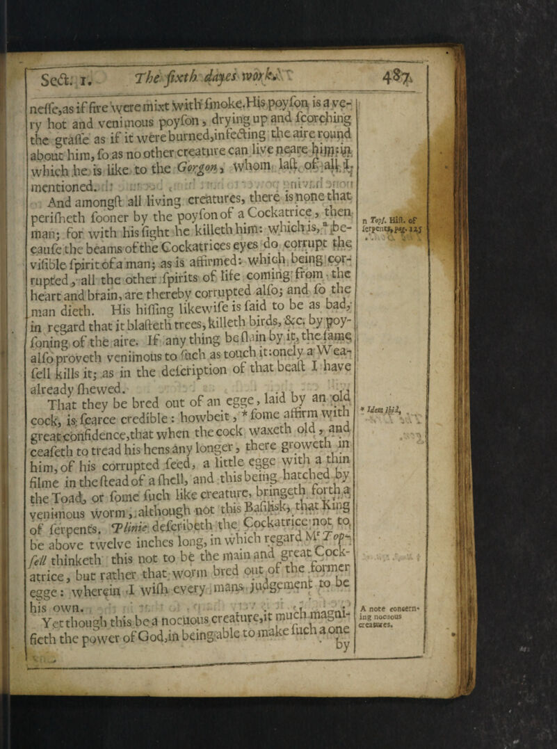 neffe,as if ftve \yere mixt with imoke.His ppyfoii is aye- ry bot and venimous poyfon , dtyingup and fcorching thc grafle as if it wereburned,infeaing the aire rourid about him, fo as no other creature can liv e neare which.be is Like to the Gorgon y whom Aa^ .q^aJhRf mentioned. b antvfcrl w oci And amongft all living creatures, there is none that perifheth fooner by the poyfon of a Cockatrice, then man; for with his fight he kiliethhini: whichis, jbe- caufe the beams of the Cockatrices eyes/do corrupt the vihblefpiritofaman; as is attirmed: which being cpr- rupted, ali the other fpirits of lite commg fi om tle heart and brain, are therebv corrupted alio; and fo the man dieth. His hifTing likewife is faid to be as bad, in regard that it blafteth trees, killeth birds, &c. by poy- fqmng of the aire. If anything beflamby l^the iame aifoproveth veniinousto fach astouch it:onely a ea- feli kills it; as in the deicription of that beaft I have *?£St bred « of »„ og5e. .«id by an old cockj is; fcarce credibie : howbeit, * forne affirm with greatcbnfidence,that when thecock waxet o , an ceafeth to tread his hens any tonget, there groweth m him, of his corrupted feed, a little egge wit a t m filme in thefteadof afhell, and thisbemg. hatched by the Toadj or forne fuch like creature, brmgetb torth^ venitnous worm,.although not thrsBaulibk, thatliing of ferpents. 7>Iwk. deferibeth the ^ockatticeuiot to, be above twelve inches long, in wbic i regar feli thinketh this not to be the niam great Cpck- atrice, but rather that worm bred cut cf the .f°rmc egge: wherein I wiflvevery man* judgcment to be h Yet though this be a nocuous creature,it fieth the povver ofCod.in beingable to make fuch aonc n Topi. Hili, of lerpents,^. «j « « - . O» ^ A ■* * Idem ‘■Y A note concem* ing nocuous cr casares.