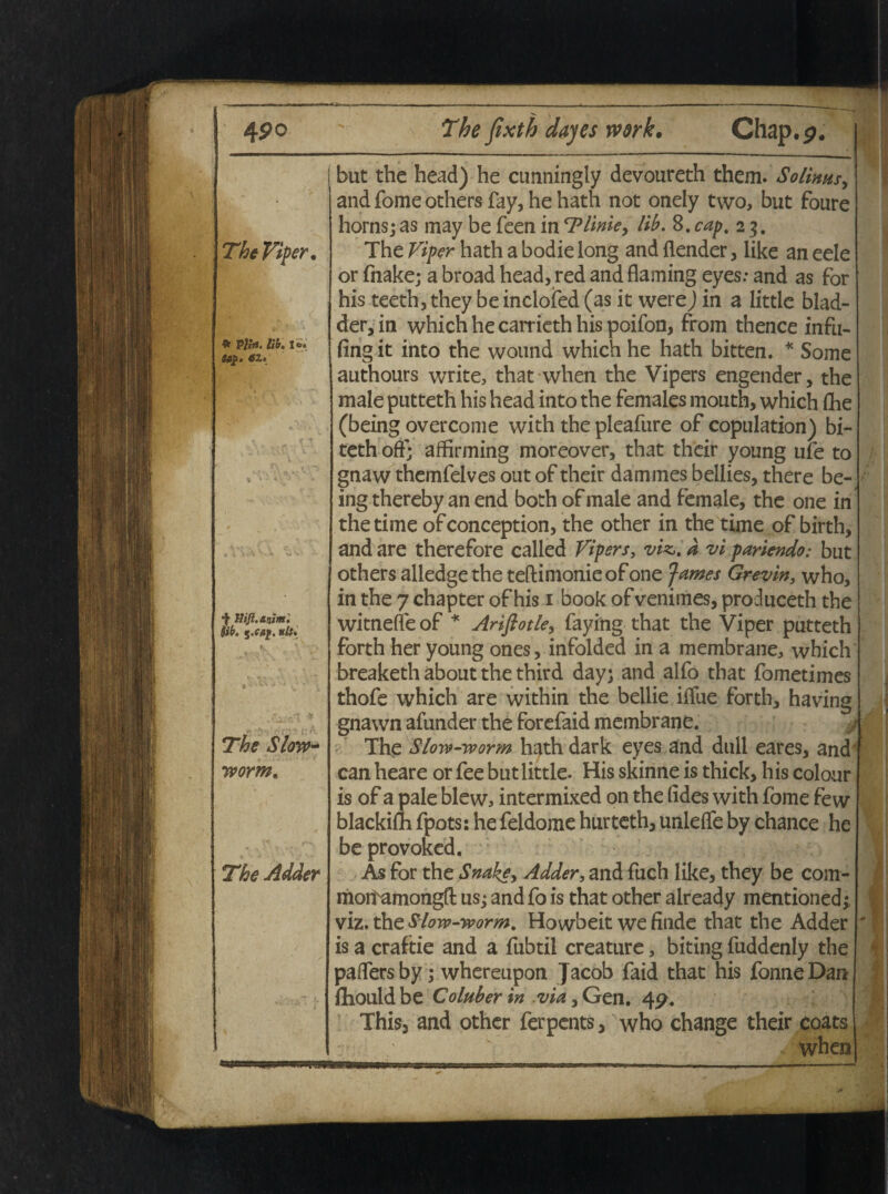 * P//A lih. !<*■ $fi$. *Z. Hifl. animi fib. ;«fft. 7®* <5V(W- uvorm. The Adder but the head) he cimningly devoureth them. Solinusy and fome others fay, he hath not onely two, but foure hornsjas may be feen inTlime, lib. 8.cap. 23. The Viper hath a bodie long and {iender, like an eele or fnake; a broad head,red and flaming eyes: and as for his teeth, they be inclofed (as it were) in a little blad- der, in which he carrieth his poifon, from thence infu- fing it into the wound which he hath bitten. * Some authours write, that when the Vipers engender, the male putteth his head into the females mouth, which fhe (being overcome with the pleafure of copulation) bi- teth off; affirming moreover, that their young ufe to gnaw themfelves out of their dammes bellies, there be¬ ing thereby an end both of male and female, the one in the time of conception, the other in the time of birth, and are therefore called Vipers, viz. d vi pariendo: but others alledgethe teftimonieofone James Grevin, who, in the 7 chapter of his 1 book of venimes, produceth the witneffe of * Ariftotle, faying that the Viper putteth forth her young ones, infolded in a membrane, which breaketh about the third day; and alfo that fometimes thofe which are within the bellie itftie forth, having gnawn afunder the forefaid membrane. The S/ow-worm hath dark eyes and dull eares, and' can heare or fee but little. His skinne is thick, his colour is of a pale blew3 intermixed on the (ides with fome few blackifli fpots: he feidome hurteth, unleffe by chance he be provoked. As for the Snakey Adder, and fuch like, they be com- mon^amongfl: us; andfo is that other already mentioned; viz. the Slow-yvorm. Howbeit we finde that the Adder is a craftie and a fubtil creature, biting fuddenly the paflersby; whereupon Jacob faid that his fonneDan fliould be Coluber in via, Gen. 4p. This, and other ferpents, who change their coats :: ; v .> v when