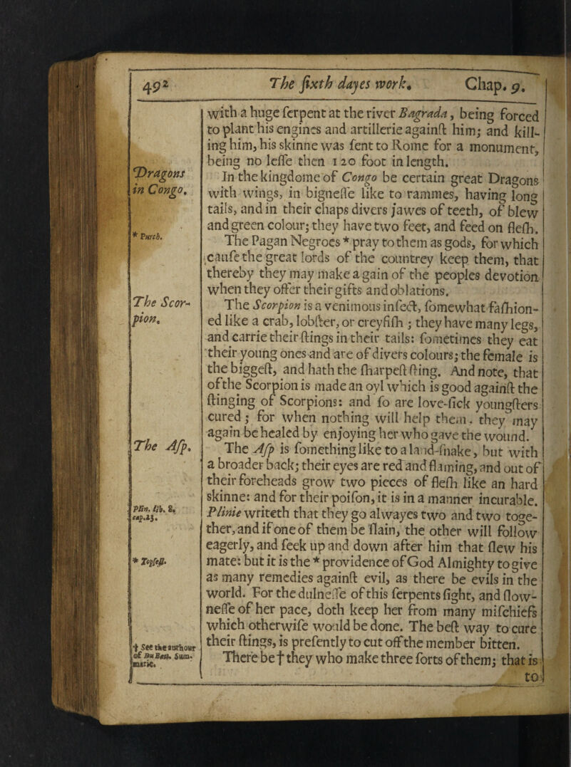 with a huge fer pene at the river Bagrada, being forced to piant his engines and artillerie againfl him; and kill- ing him, his skinne was fenttoRome for a monument, being no leffe then 120 foot inlength. In the kingdonie of Ccngo be certain great Dragons • with wings, in bignefle like to rammes, having long tailsj and in their chaps divers /awes of teeth, of blew and green colour; they have tvvo feet, and feed on flelh. The Pagan Negroes * pray to them as gods, for which ■ caufe the great Iords of the countrey keep them, that thereby they may make a gain of the peoples devotion when they offer their gifts andoblations. The Scorpion is a venimous infedl, fomewhat fafhion- ed like a crab, lobfter, or creyfifh ; they have many legs, and carrie their ftings in their tails: fometimes they eat their young ones and are of divers colours; the fcmale is the biggefl, and hath the fharpeftfHng. And note, that ofthe Scorpion is made an oyl which is good againfl the ftinging of Scorpions: and fo are lovedick youngflers cured; for when nothing will help them , they may agambehealedby enjoyingher whogavethe wotmd/ j The Afp is fomethinglike toaland-fnake, but with j a broader back; their eyes are redand flarning, and out of their foreheads grow two pieces of Mh like an hard skinne: and for their poifon, it is in a manner incurable. Plinie writeth that they go alwayes two and two to^e- ther.andifoneof them be flain, the other will follow eagerly,and feek upand down after him that flew his j j mate: but it is the * providence of God Almighty to give as many remedies againfl evil, as there be evils in the I World. For the dulneiTe of this ferpents fight, and flow- i neffeof her pace, doth keep her from many mifchiefs \ otherwife woald be done. The befl vvay to cure flings, is prefently to cut offthe member bitten. ere be f they who make three forts of them; that is to-
