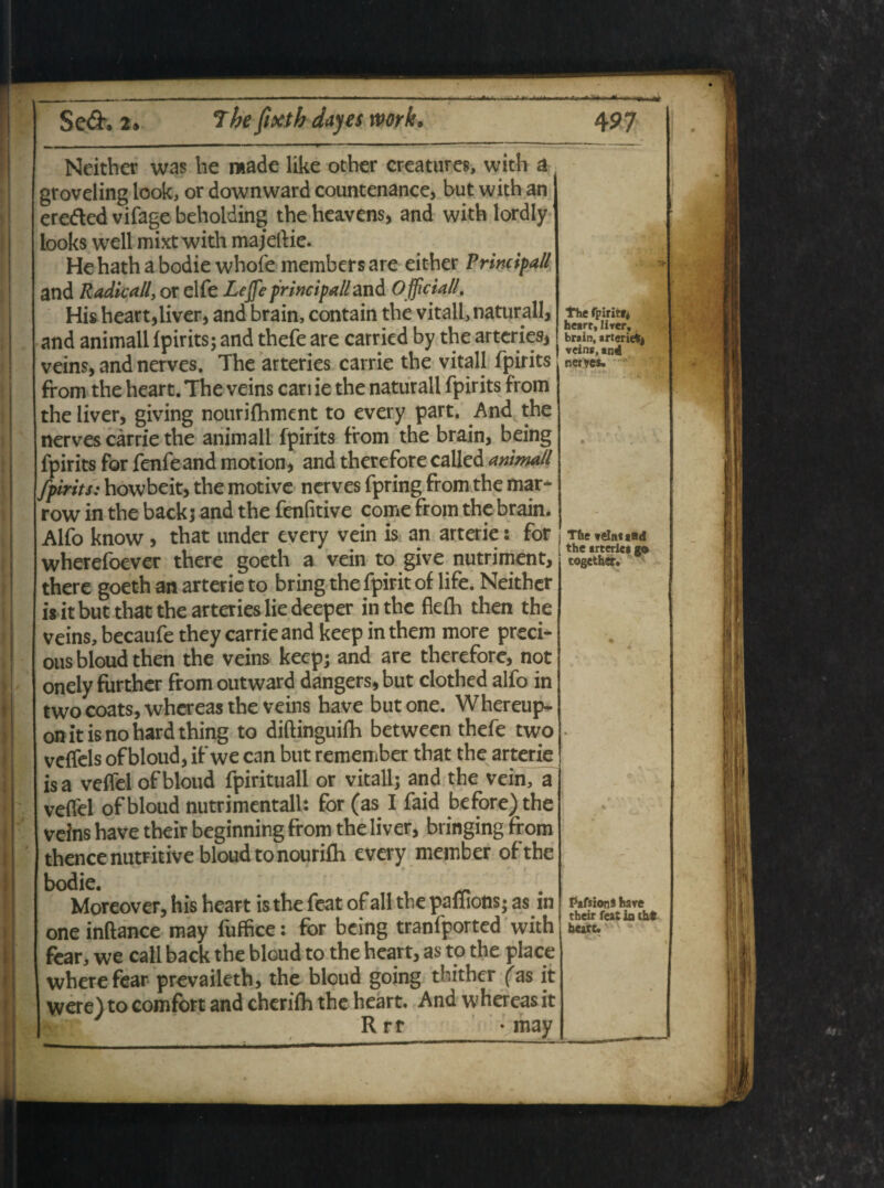 Neither was he made like other creatures, with a groveling look, or downward countenance, but with an eredted vifage behoiding the heavens, and with lordly lookswellmixt with ma jeftie. He hath a bodie whofe membersare either Principali and Radie ali, or elfe Lejfe principali and Officiali. His heart,liver, and brain, contain the vitali, naturali, and animali fpirits; and thefe are carried by the arteries, veins, and nerves, The arteries carrie the vitali fpirits from the heart. The veins cari ie the naturali fpirits from the liver, giving nourifhment to every part. And the nerves carrie the animali fpirits from the brain, being fpirits for fenfeand motion, and therefore called animali fpirits: howbeit, the motive nerves fpring from the mar- row in the backj and the fenfitive come from the brain. Alfo know, that under every vein is an arterie: for wherefoever there goeth a vein to give nutriment, there goeth an arterie to bring the fpirit of life. Neither is it but that the arteries lie deeper in the flefh then the veins, becaufe they carrie and keep in them more preci- ous bloud then the veins keep; and are therefore, not onely further fromoutward dangers,but clothed alfo in twocoats,whereas the veins have butone. Whereup- on it is no hard thing to diftinguifh between thefe two veffels of bloud, if we can but remember that the arterie is a veflel of bloud fpirituall or vitali; and the vein, a veflel of bloud nutrimentall: for (as I faid before) the veins have their beginning from the liver, bringing from thencenutritive bloud tonourifh every member ofthe The fpiritfj heart, lirer, brain, arterie*, veins, and nerves. The velntaad the arteries go together. % bodie. _ Moreover, his heart is the feat of all tne paliions; as m one inftance may fuffice: for being tranfported with fcar, we call back the bloud to the heart, as to the place wherefear prevaileth, the bloud going thither (as it were) to comfort and cheriih the heart. And whereas it Rrr -may PafsionS hare their feat ia tht heart.