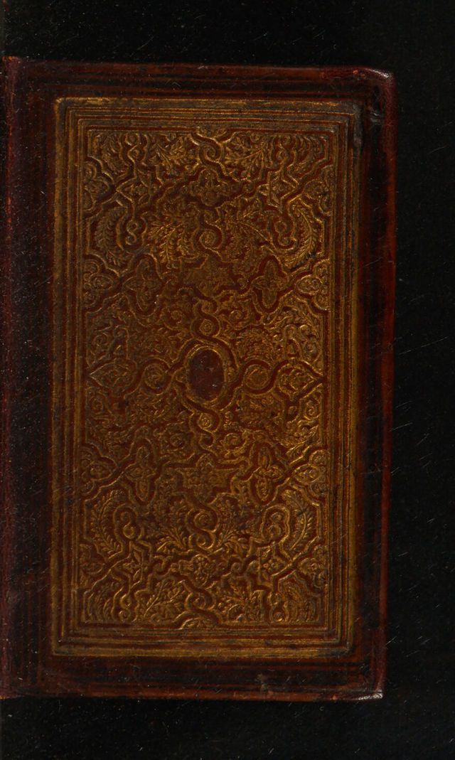 No text description is available for this image