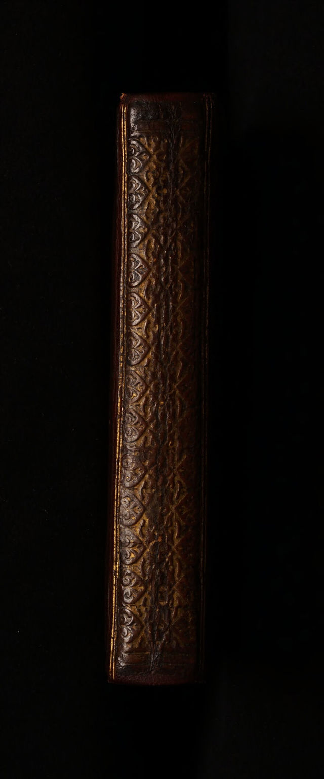 No text description is available for this image