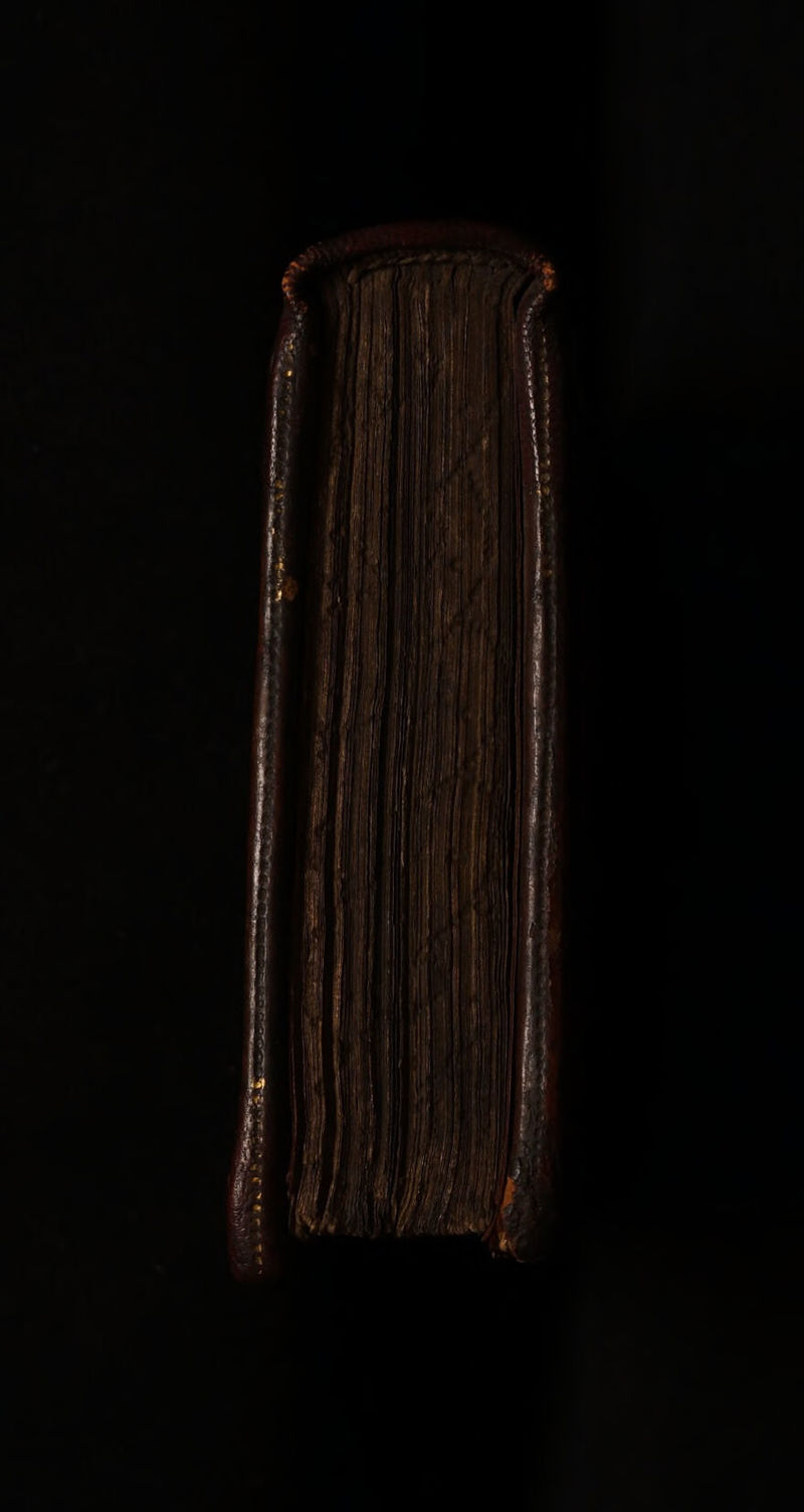 No text description is available for this image