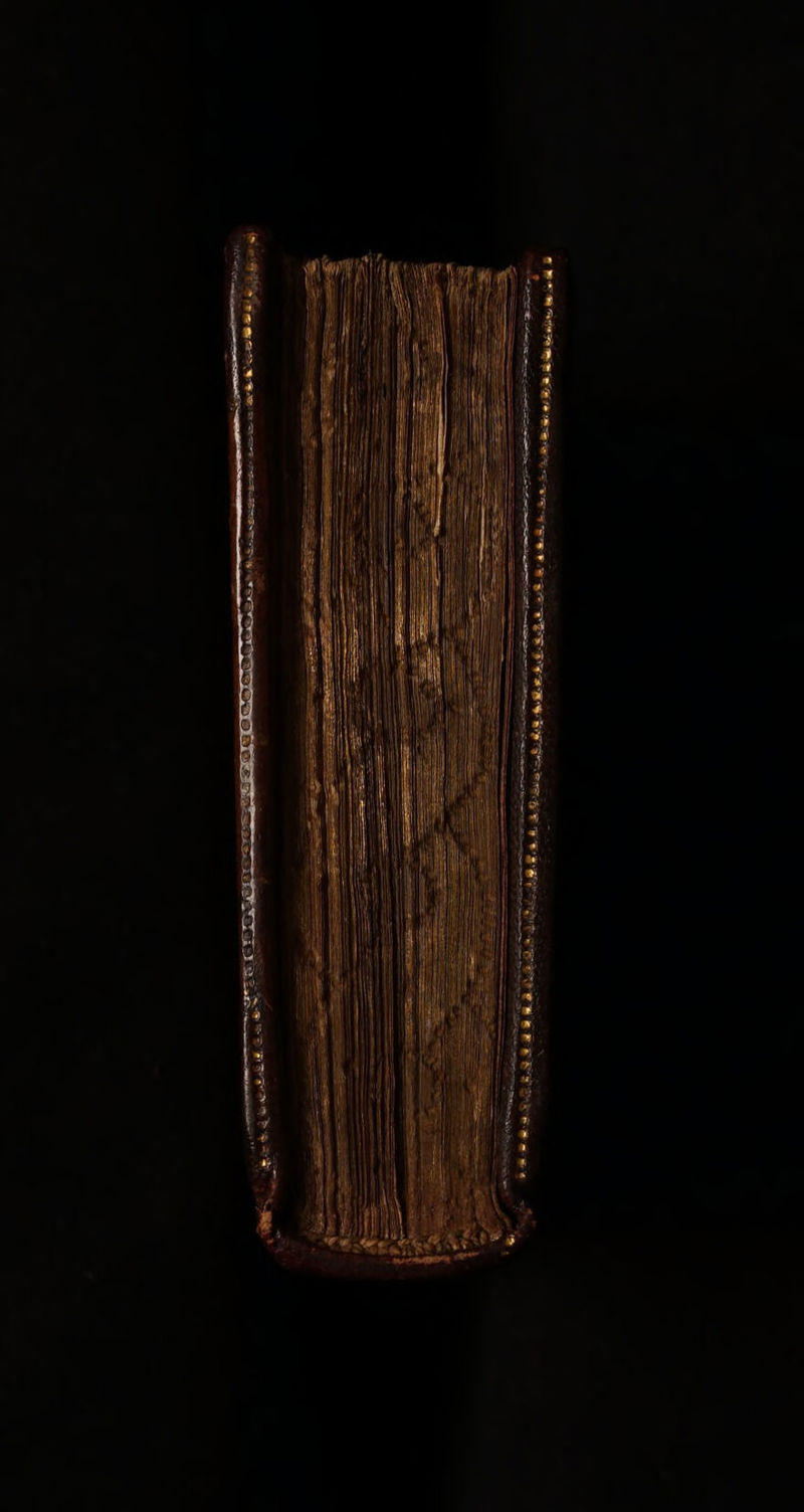 No text description is available for this image