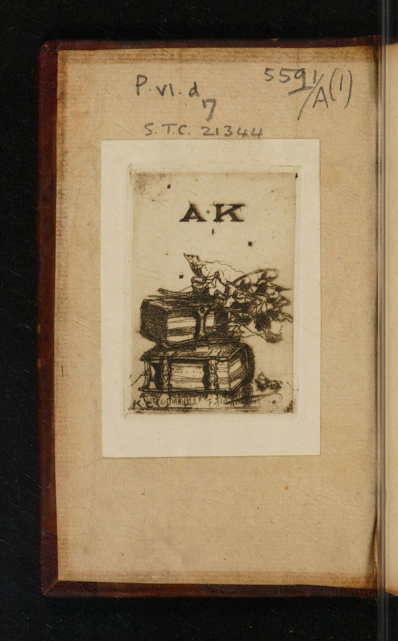 No text description is available for this image