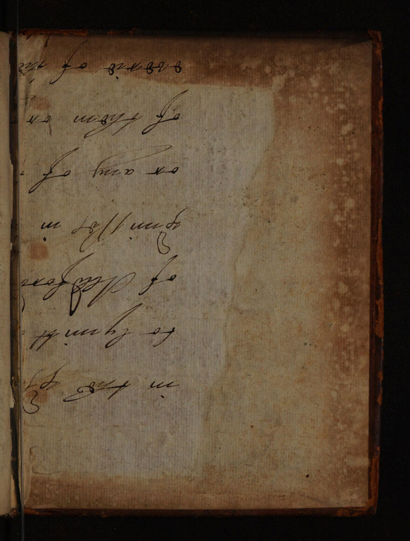 No text description is available for this image