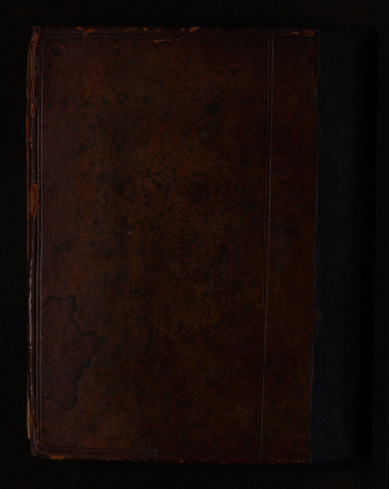 Sec a 0, thine Na Sad tld yet oy t*fe “ ae ee ee ee a ee aa ~ ee en ee NE sea