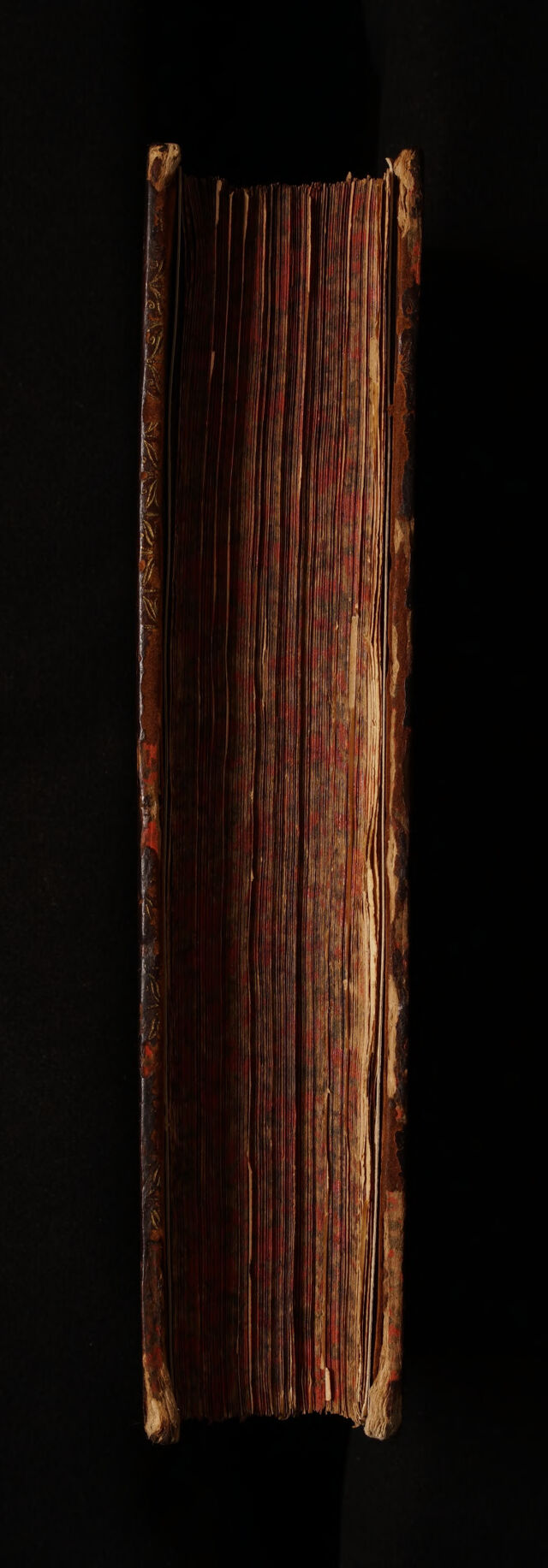 digitised image 3