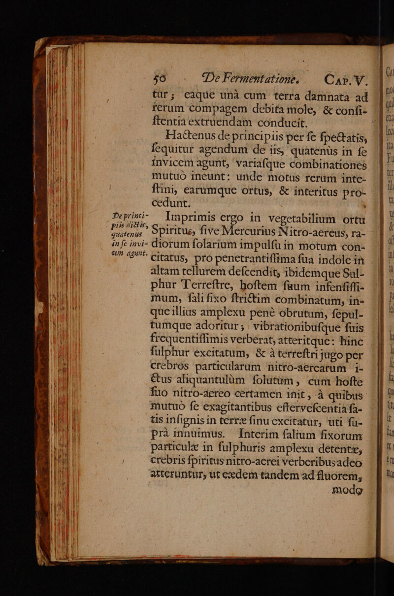 tür; càque unà cum terra damnata ad ftentia extrunendam conducit. Hactenus de principiis per fe fpectatis, fcquitur agendum de iis; quatenus in fe invicem agunt, variafque combinationes mutuó ineunt: unde motus reram inte- ftini, earumque ortus, &amp; interitus pro- cedunt. Peprini- lmprimis ergo in vegetabilium ortu Re Spiritus, five Mercurius IN itro-aereus, ra- quatenus I j . ^ | in fc ini- diorum folarium impulfu in motum con- 6 agunt. altam tellurem defcendit; ibidemque Sul- phur T'erreftre, boftem faum infenfiffi- mum, fali fixo ftricüim combinatum, in- que illius amplexu pene obrutum, fépul- tumque adoritur ; | vibrationibufque fuis frequentiflimis verberat, atteritque: hinc fulphur excitatum, &amp; à terreftri jugo per crebros particularum nitro-aerearum 1- &amp;us aliquantulüm. folutüm , cum hofte Íuo nitro-aereo certamen init, à quibus mutuo fe exagitantibus effervefcentià fa- tis infignis in terrz finu excitatur, uti fü- pràinnummus. Interim (alium fixorüm particulz in fulphuris amplexu detentz, crebris fpiritus nitro-aerei verberibusadeo atteruntur, ut exdem tandem ad flüorem, mode VEWTU Mat am m eins t 2 -— $2 cIt oy MI T tme ge